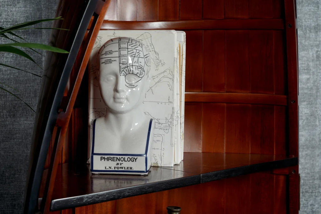 [product_category]-Authentic Models Phrenological Head-Authentic Models-781934244509-MG020-AUT-5