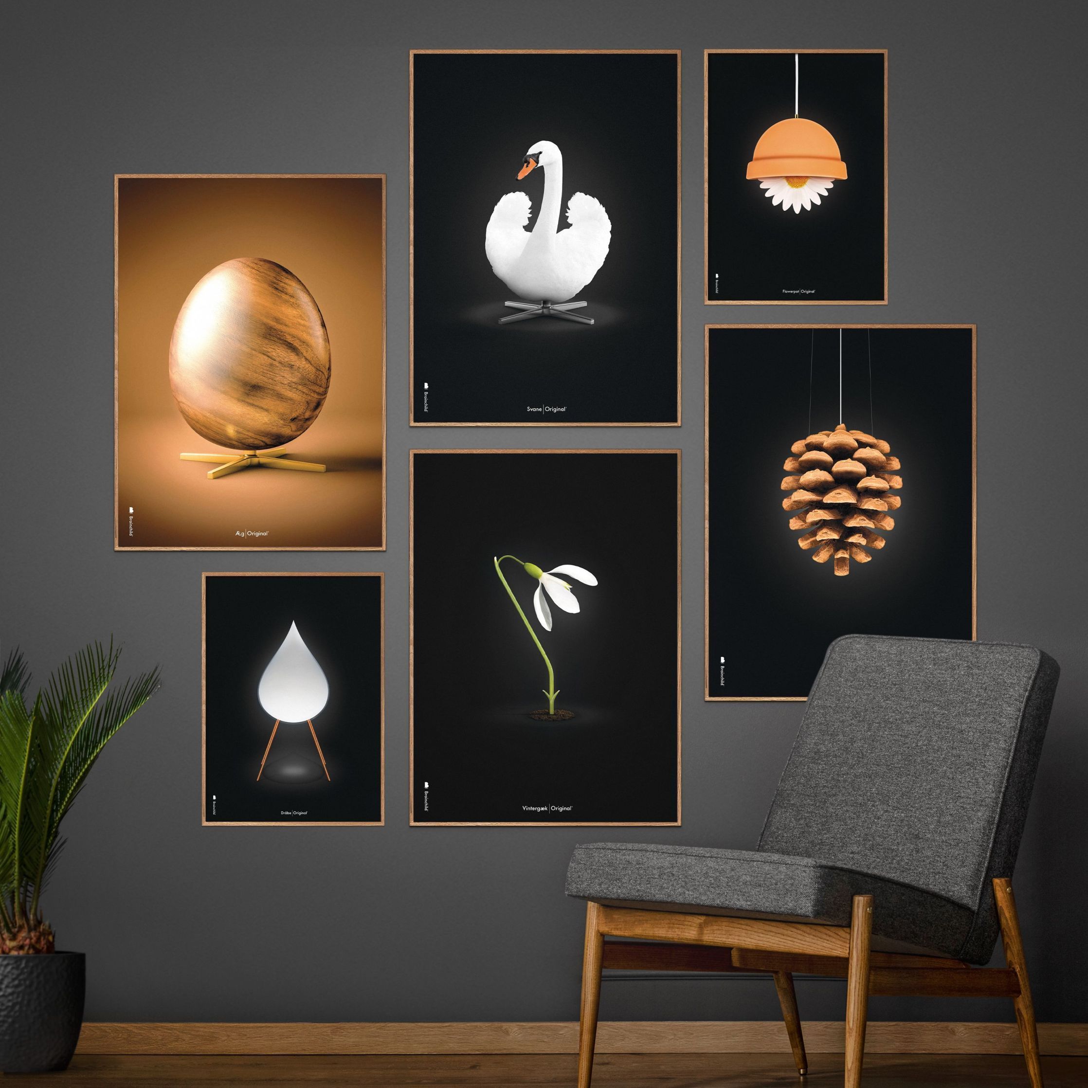 [product_category]-Brainchild Flowerpot Classic Poster, Brass Colored Frame 70 X100 Cm, Black Background-Brainchild-81004-D-BRA-3