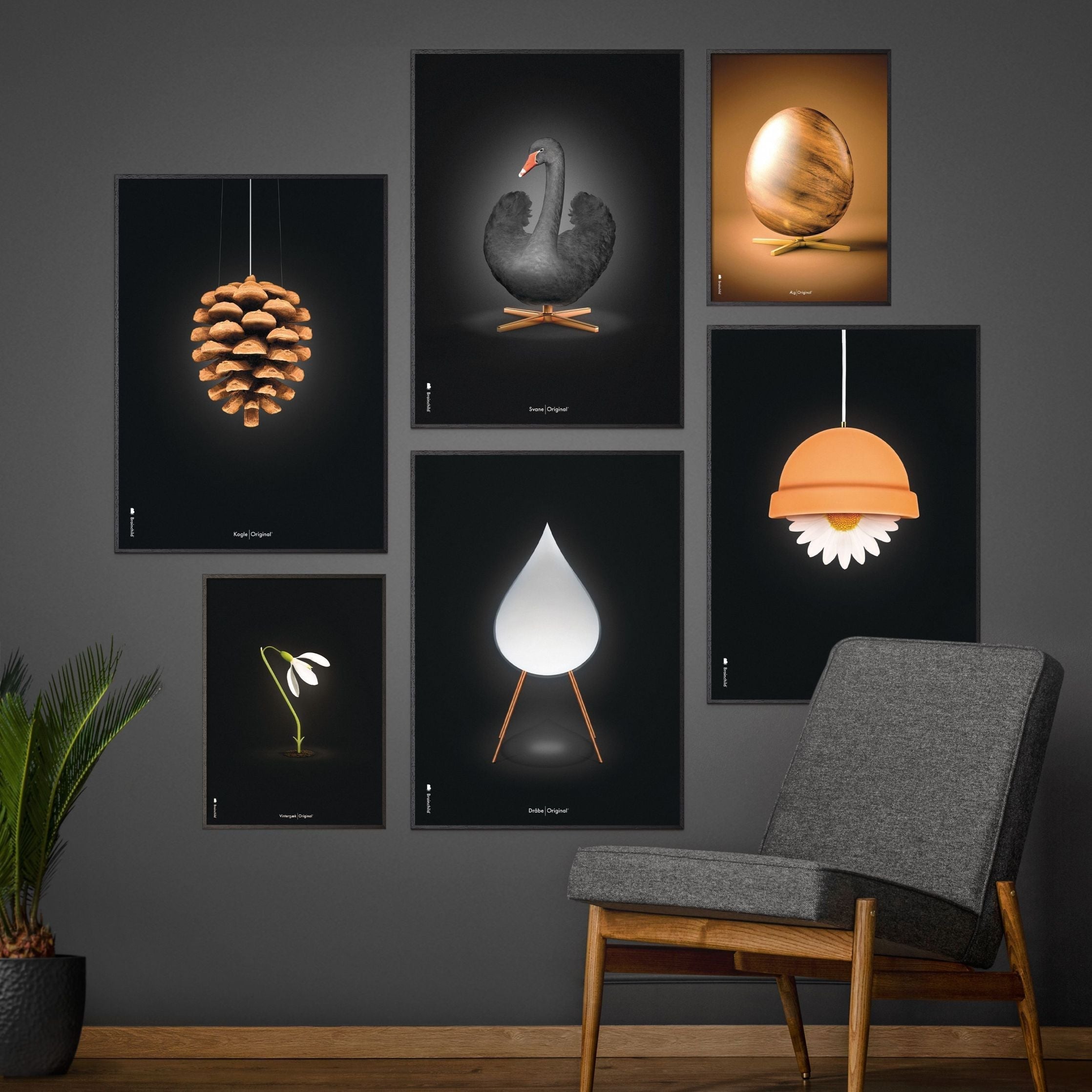 [product_category]-Brainchild Flowerpot Classic Poster, Frame In Black Lacquered Wood A5, Black Background-Brainchild-81001-C-BRA-4