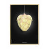  Ph Artichoke Poster Brass Colored Frame A5 Black Background