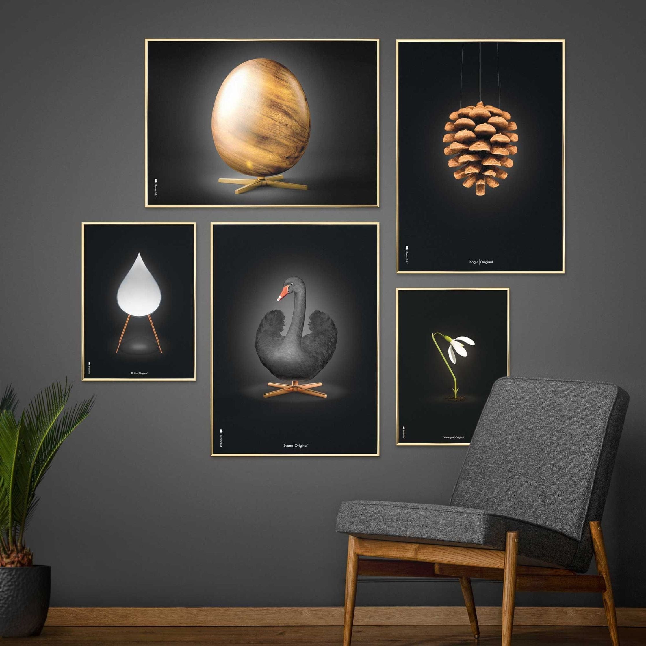 [product_category]-Brainchild Pine Cone Classic Poster Without Frame A5, Black Background-Brainchild-5713713018051-23001-BRA-10