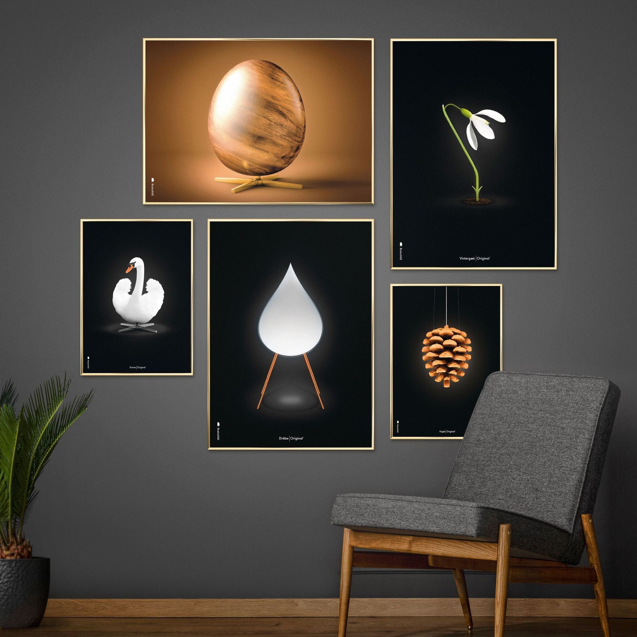 [product_category]-Brainchild Pine Cone Classic Poster Without Frame A5, Black Background-Brainchild-5713713018051-23001-BRA-12