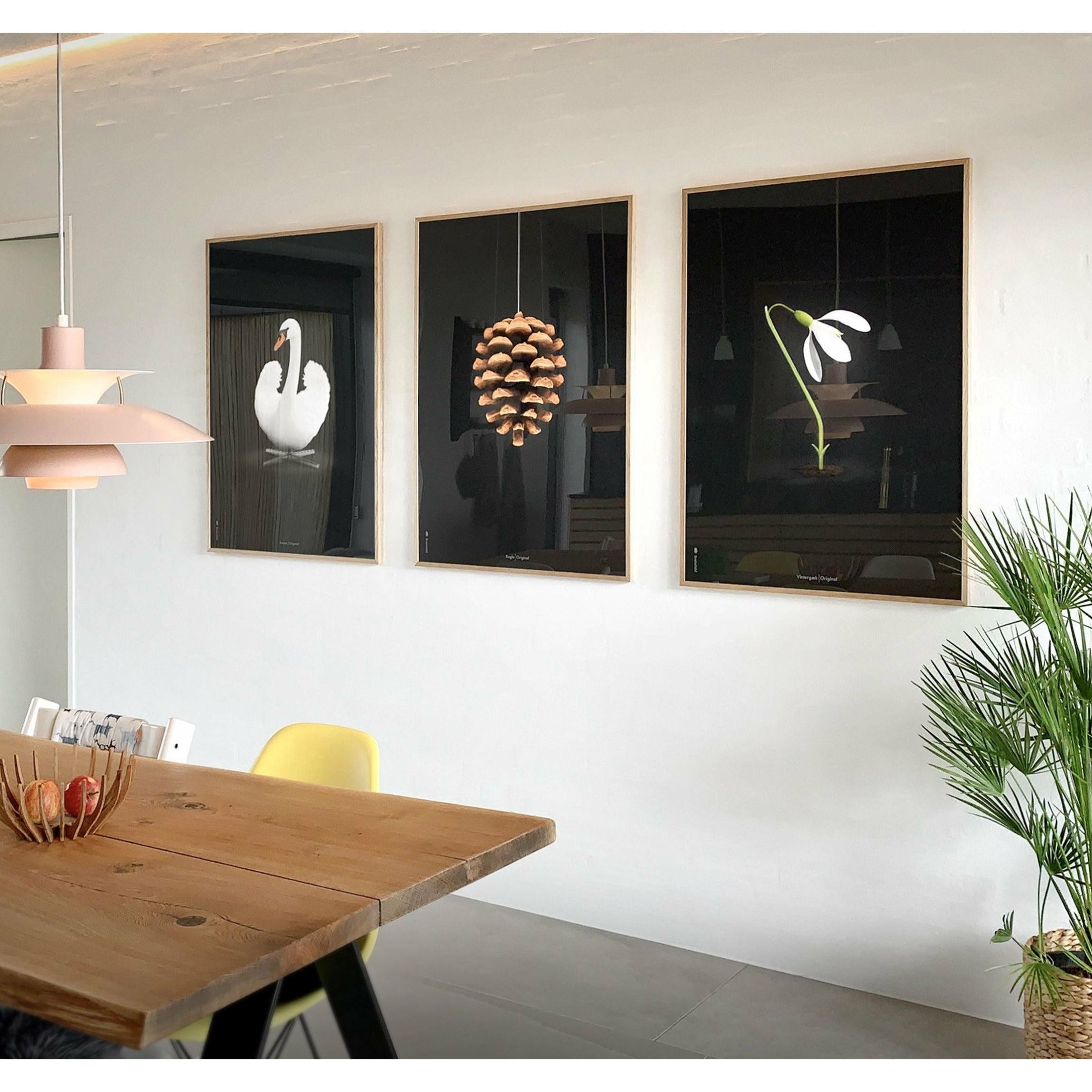 [product_category]-Brainchild Pine Cone Classic Poster Without Frame A5, Black Background-Brainchild-5713713018051-23001-BRA-31