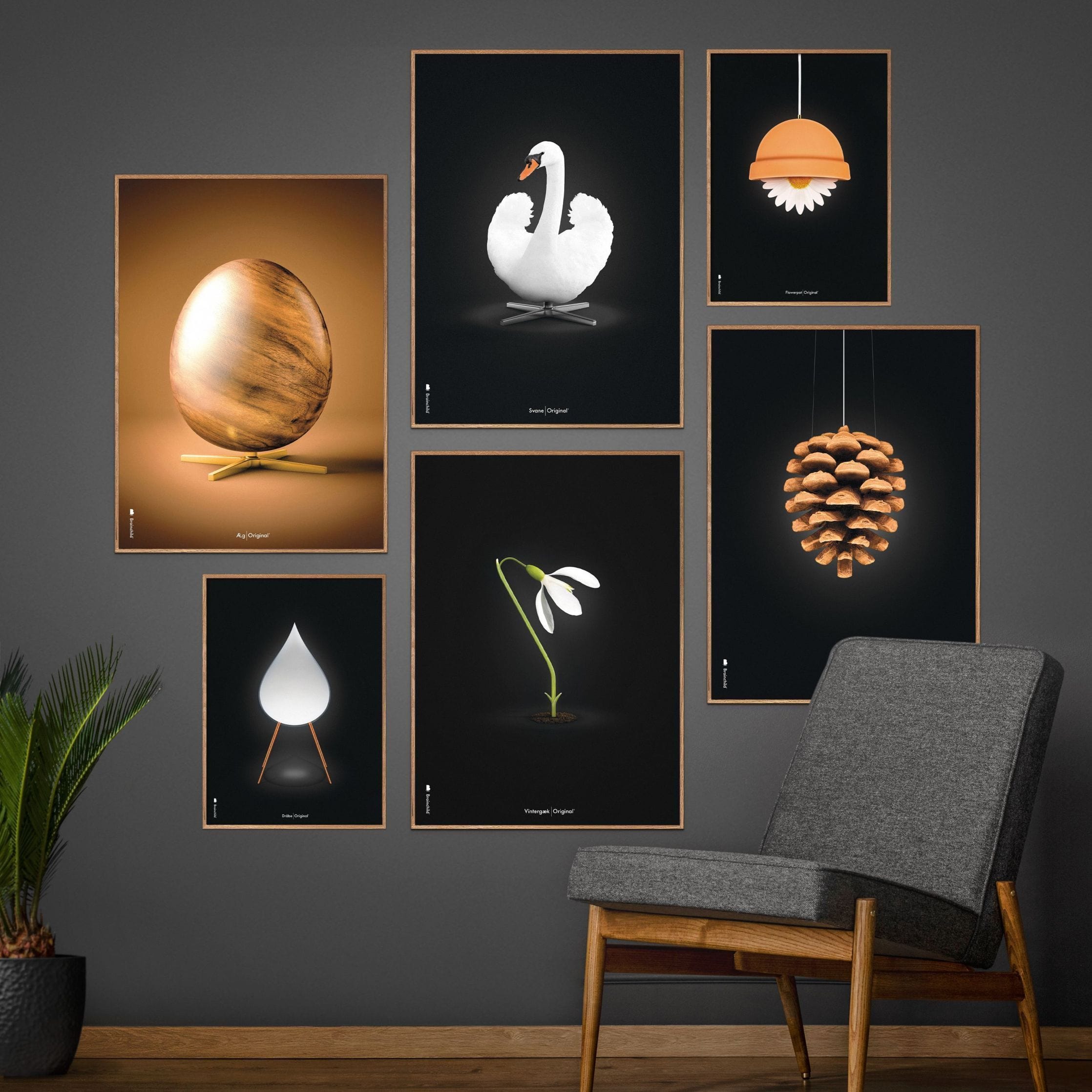 [product_category]-Brainchild Pine Cone Classic Poster Without Frame A5, Black Background-Brainchild-5713713018051-23001-BRA-5
