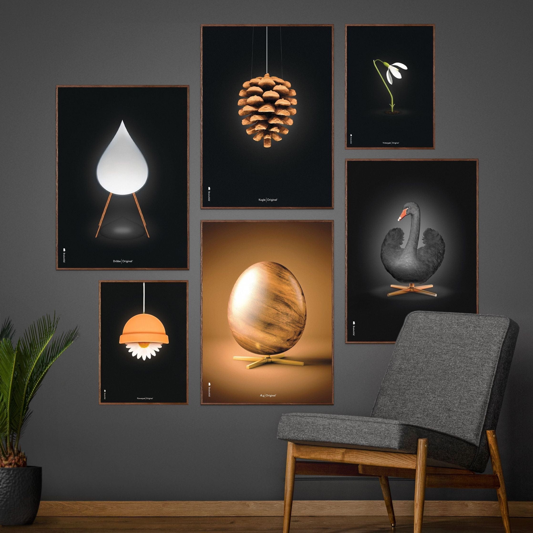 [product_category]-Brainchild Pine Cone Classic Poster Without Frame A5, Black Background-Brainchild-5713713018051-23001-BRA-6