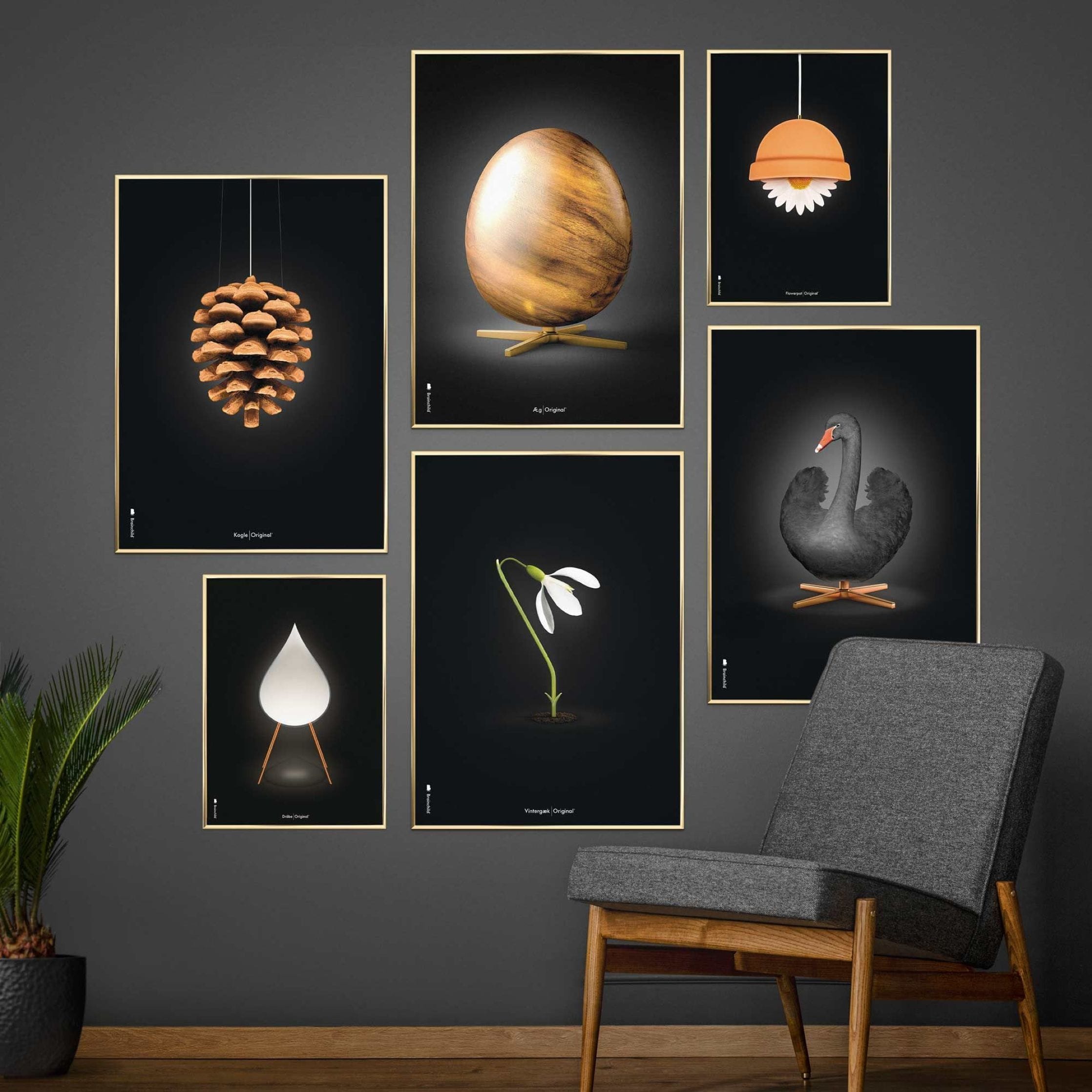 [product_category]-Brainchild Pine Cone Classic Poster Without Frame A5, Black Background-Brainchild-5713713018051-23001-BRA-9