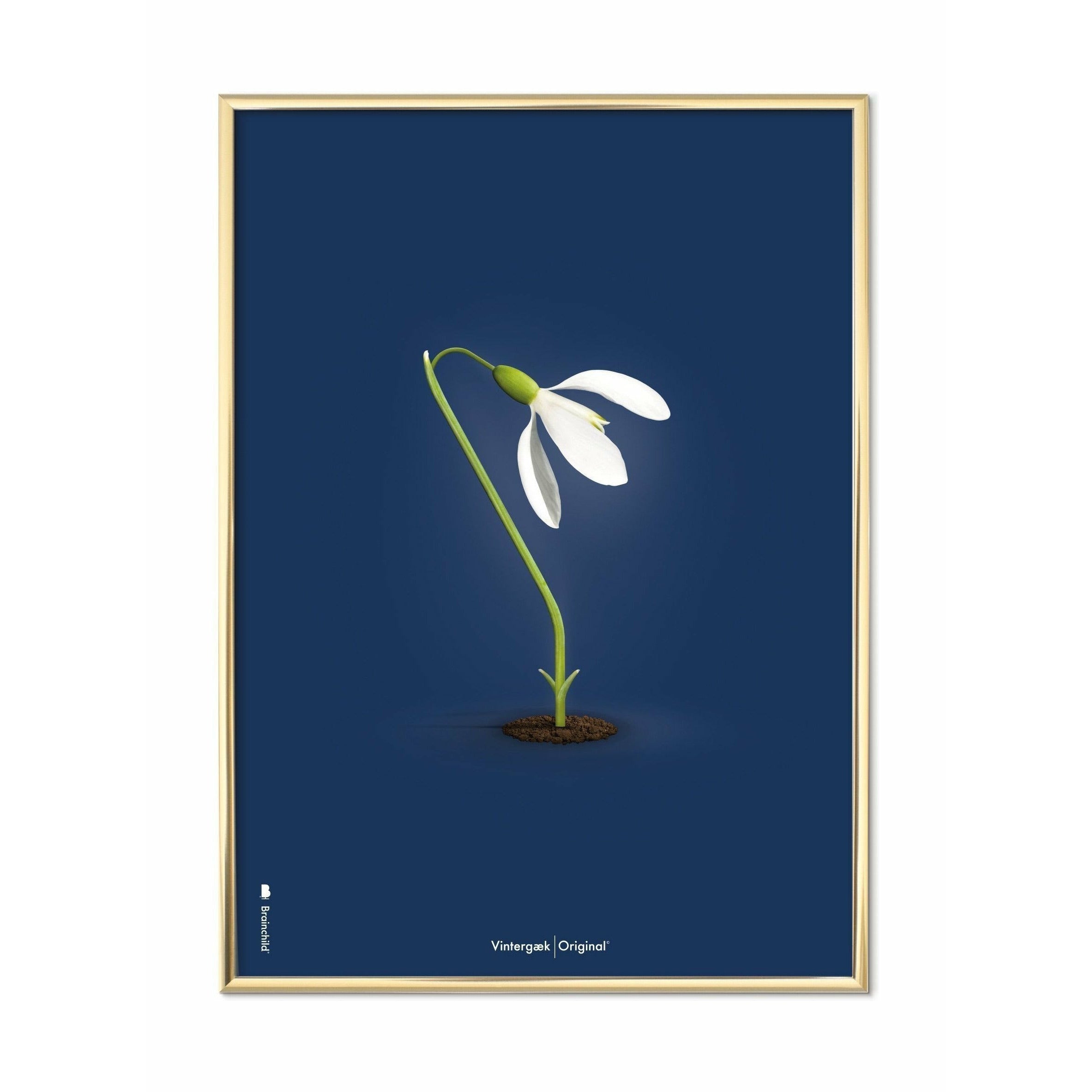 [product_category]-Brainchild Snowdrop Classic Poster, Brass Colored Frame A5, Dark Blue Background-Brainchild-64001-D-BRA-1