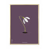  Snowdrop Classic Poster Brass Colored Frame A5 Purple Background
