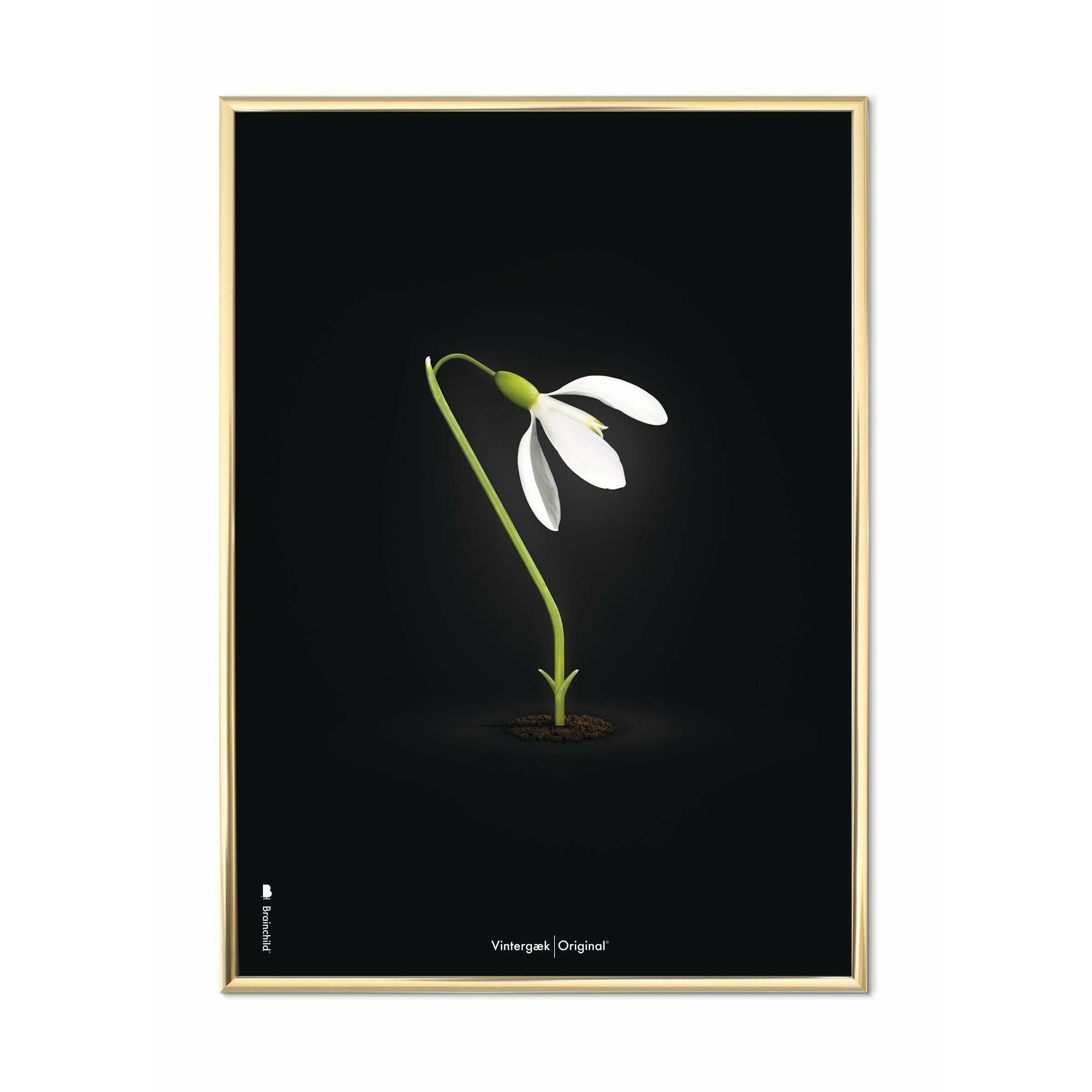 [product_category]-Brainchild Snowdrop Classic Poster, Brass Frame 70x100 Cm, Black Background-Brainchild-63004-D-BRA-1