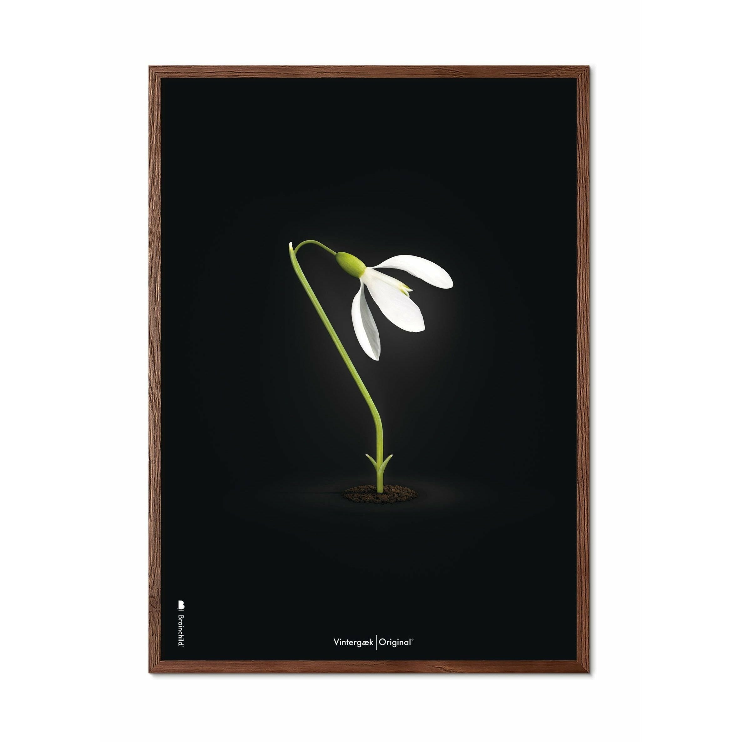 [product_category]-Brainchild Snowdrop Classic Poster, Frame Made Of Dark Wood 70x100 Cm, Black Background-Brainchild-63004-B-BRA-1