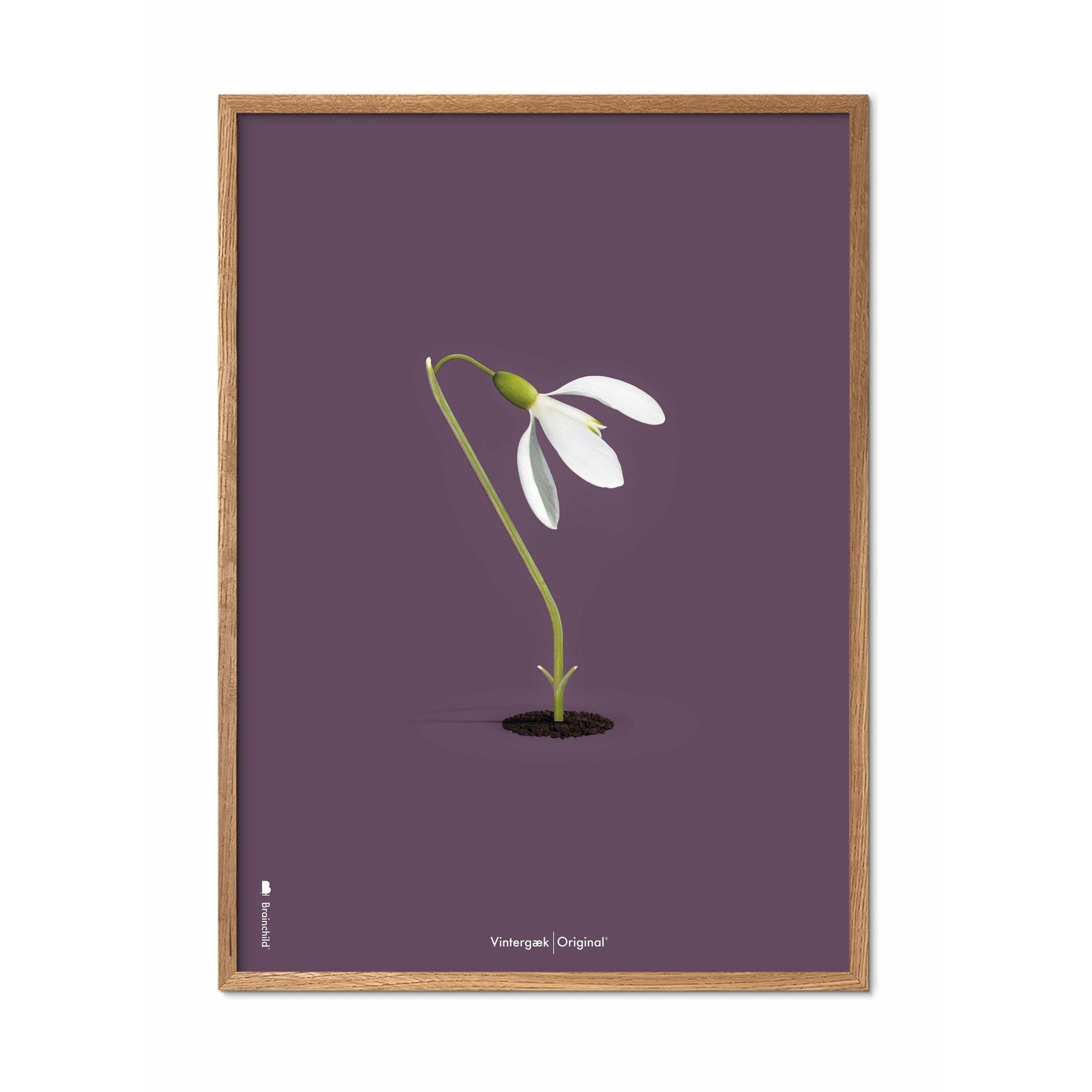 [product_category]-Brainchild Snowdrop Classic Poster, Frame Made Of Light Wood 30x40 Cm, Purple Background-Brainchild-62002-A-BRA-1