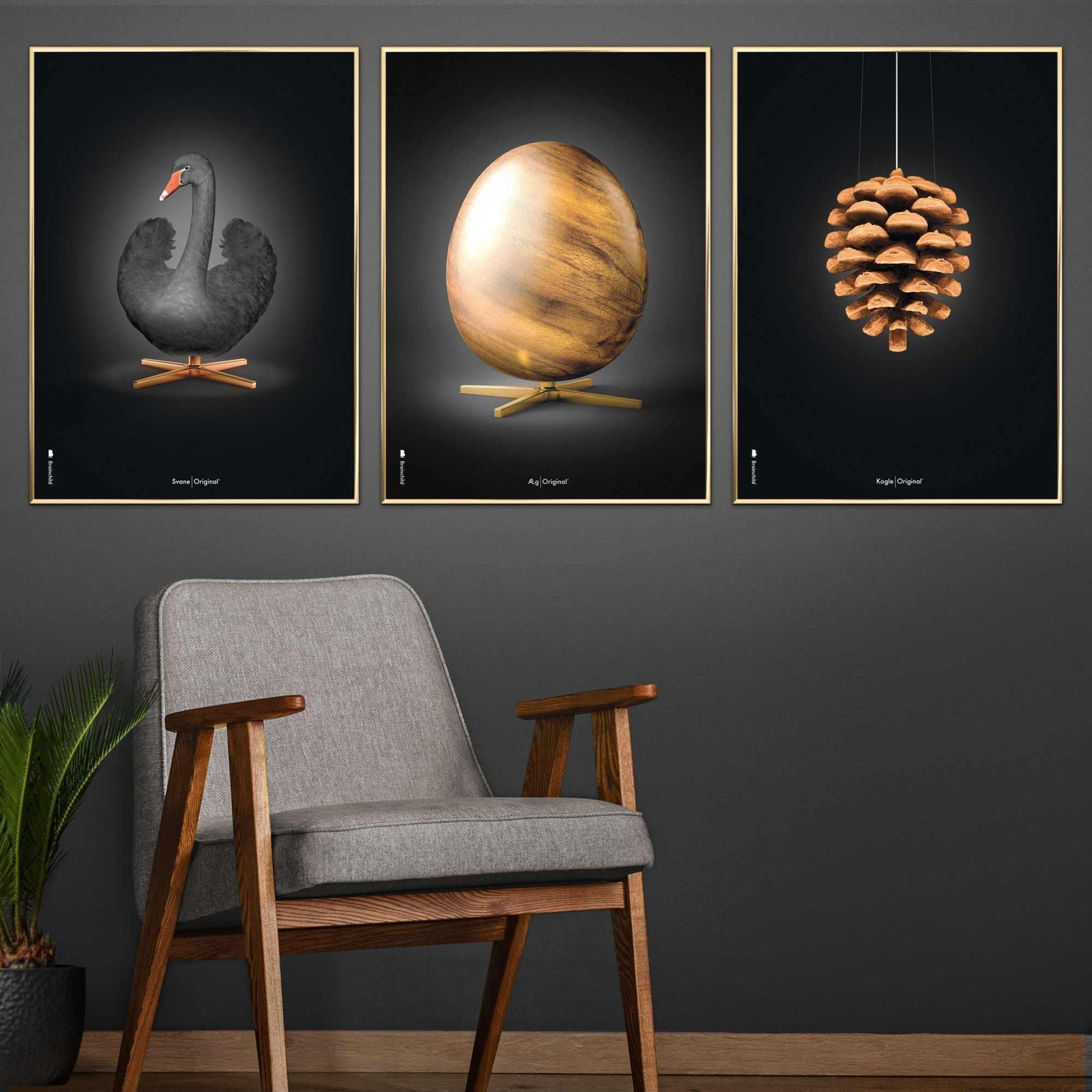 [product_category]-Brainchild Swan Classic Poster, Frame In Black Lacquered Wood 70 X100 Cm, Black/Black Background-Brainchild-31004-C-BRA-6