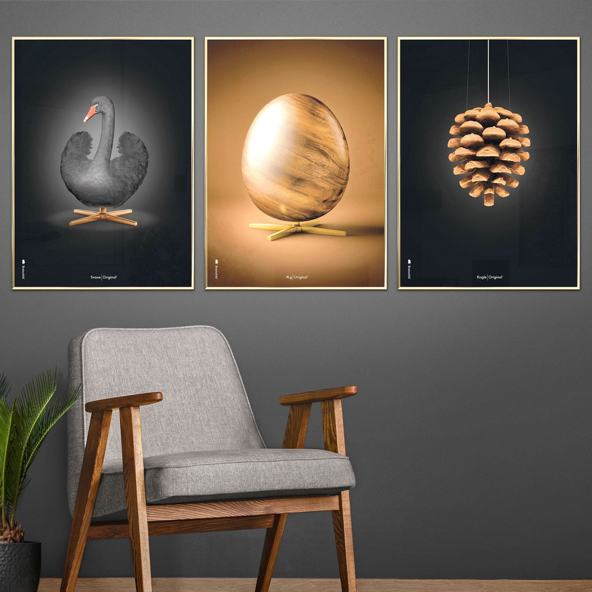 [product_category]-Brainchild Swan Classic Poster, Frame Made Of Light Wood 70x100 Cm, Black/Black Background-Brainchild-31004-A-BRA-8
