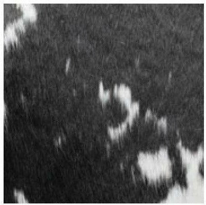 [product_category]-Carl Hansen Cowhide Samples, Black/White-Carl Hansen-1231486165532-CHSample-Cowhide-Black-CAR-1