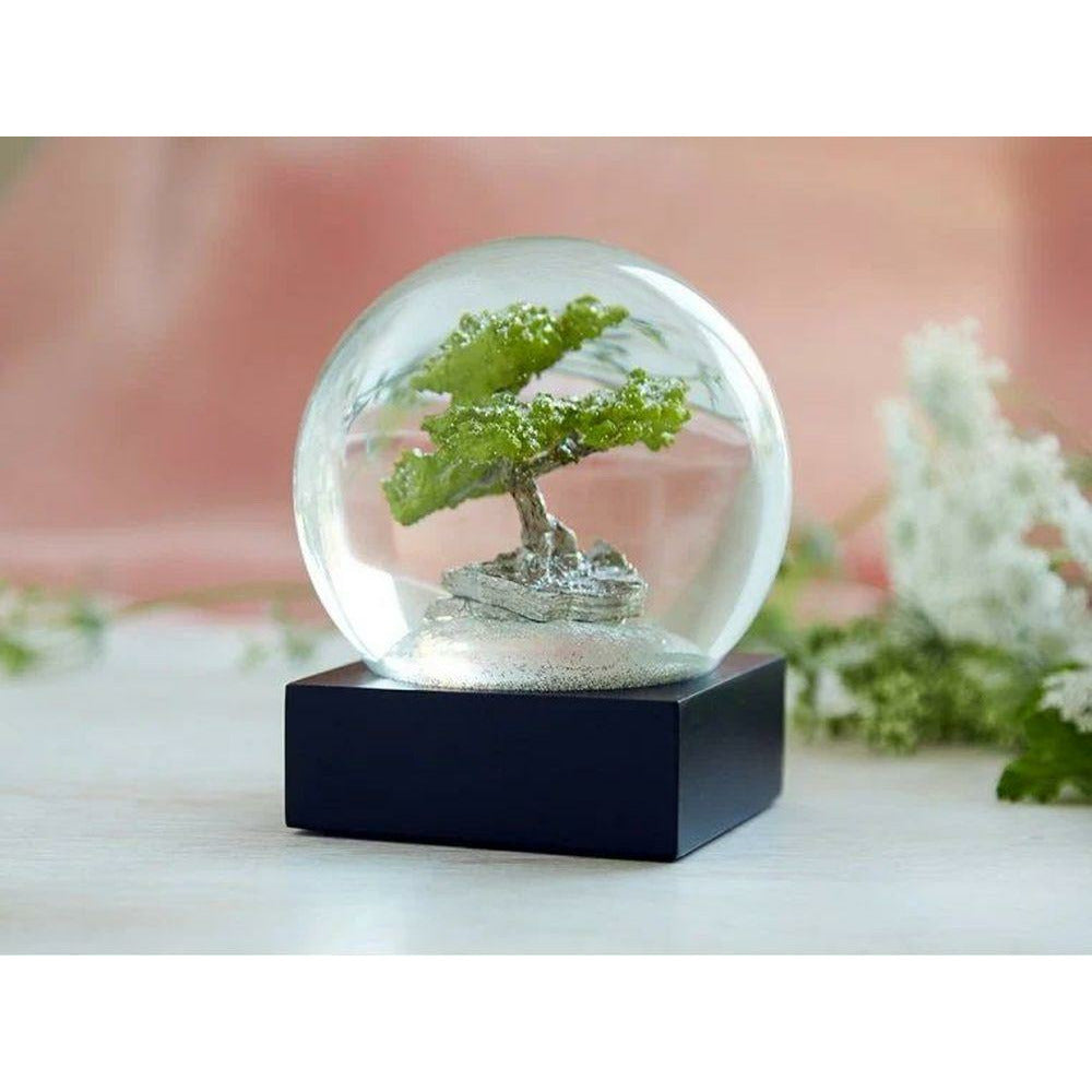 [product_category]-Cool Snow Globes Bonsai Tree-Cool Snow Globes-852830007625-CS189-BOAI-COO-2
