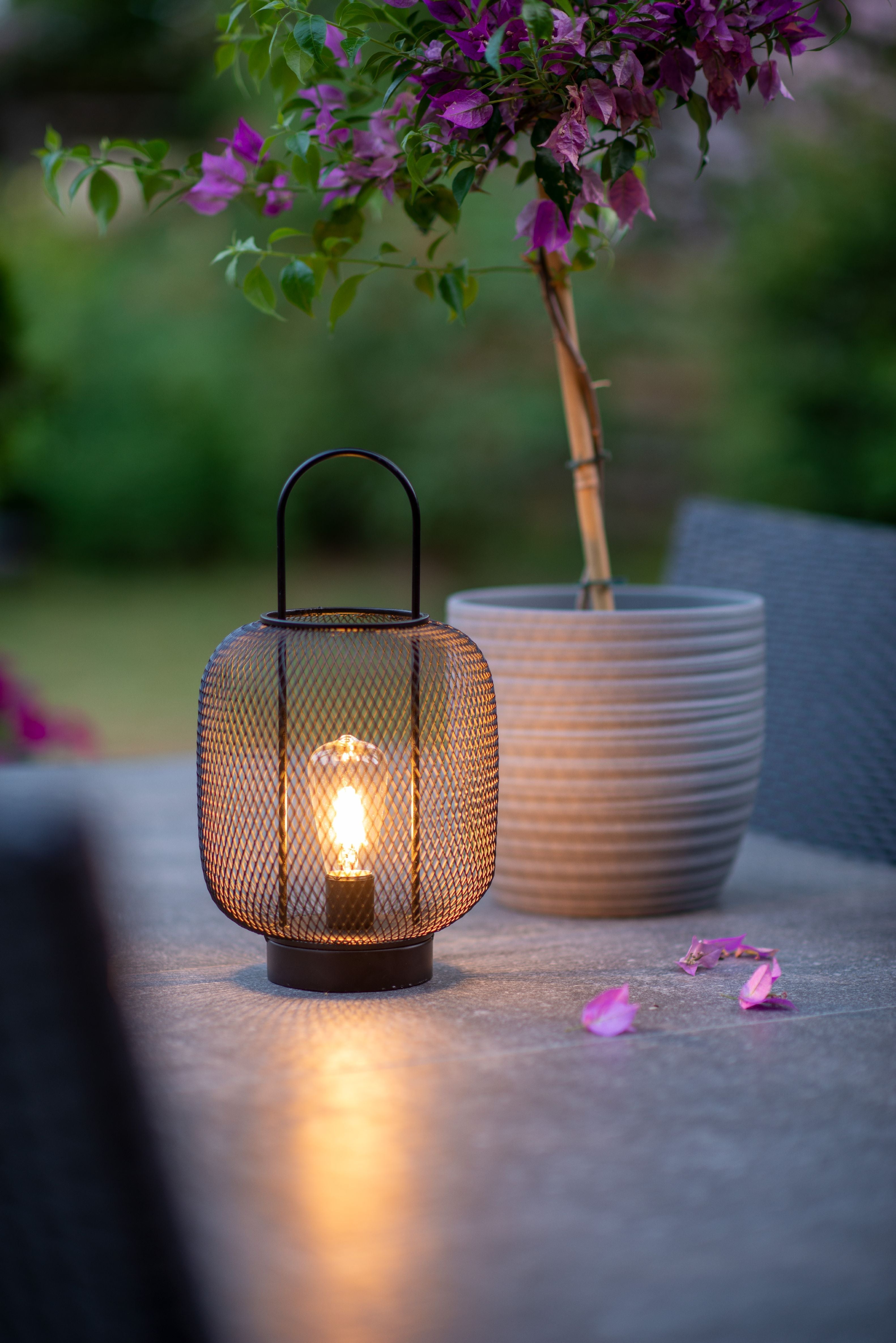 [product_category]-Dyberg Larsen Turid Lantern, Small-Dyberg Larsen-5704709050414-5041-DYB-3