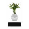 Flyte Lyfe Plant, Black