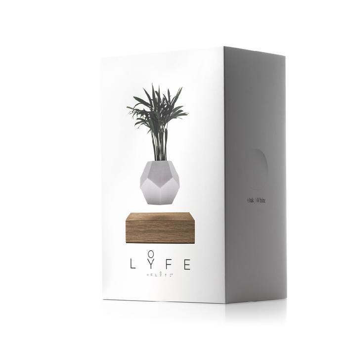 [product_category]-Flyte Lyfe Plant, Oak-Flyte-5060455390854-01-LYFE-MUL-V1-1-FLY-2