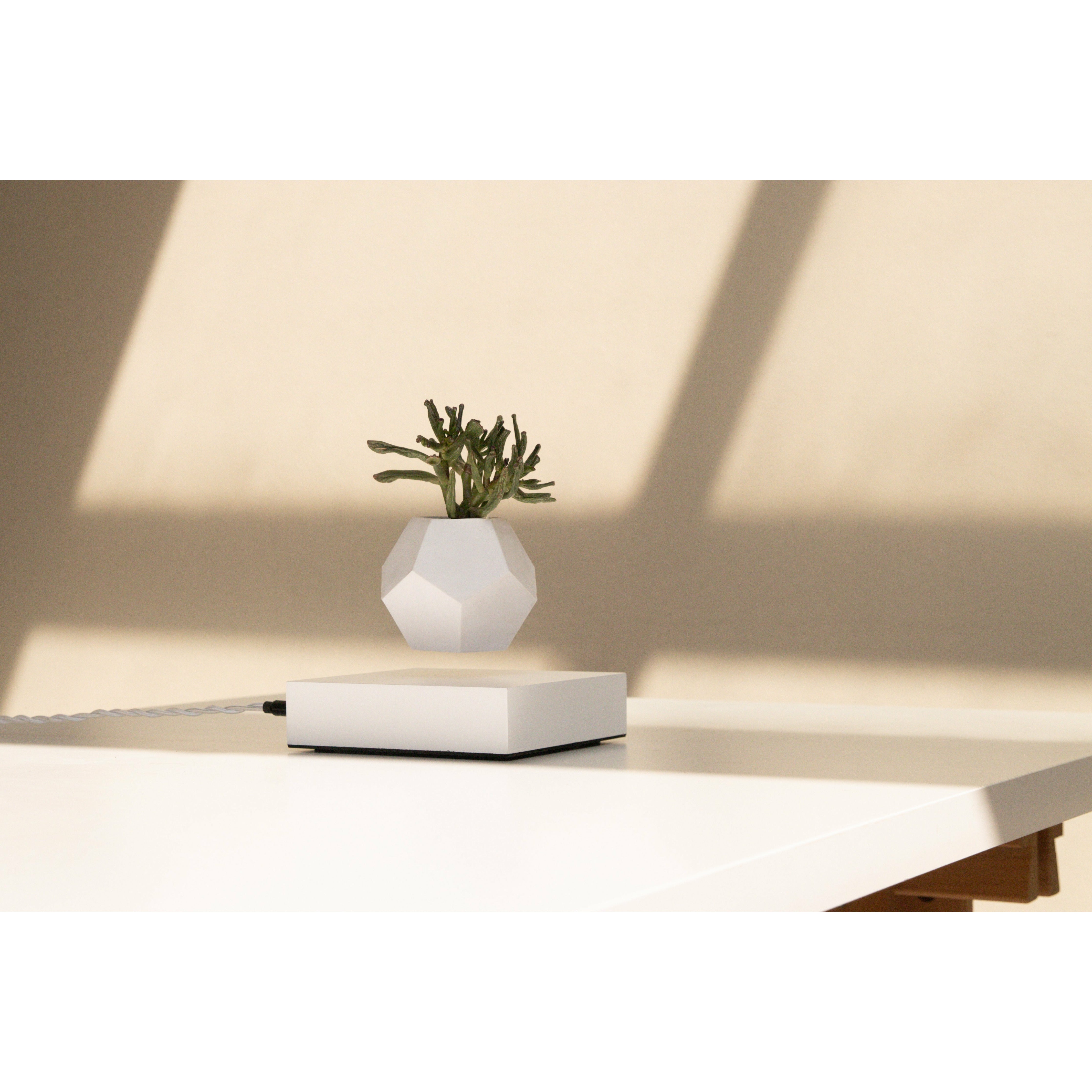 [product_category]-Flyte Lyfe Plant, White-Flyte-5060455391721-01-LWHI-MUK-V1-0-FLY-4