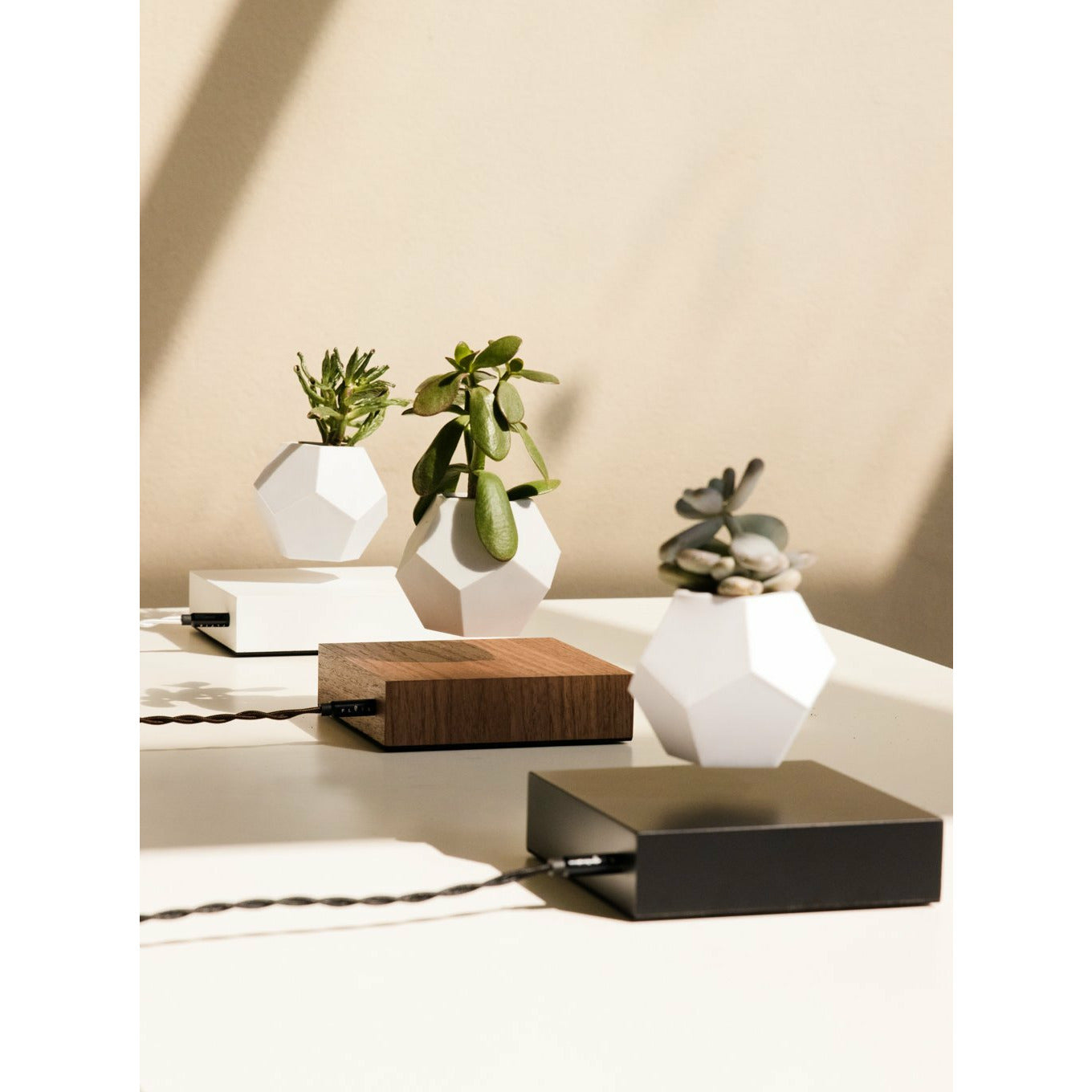 [product_category]-Flyte Lyfe Plant, White-Flyte-5060455391721-01-LWHI-MUK-V1-0-FLY-5