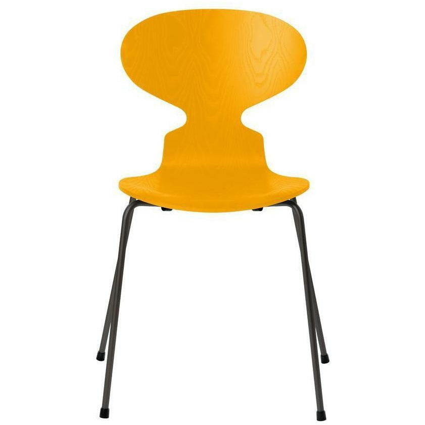 [product_category]-Fritz Hansen Ant Chair Colored Ash True Yellow Bowl, Warm Graphite Base-Fritz Hansen-3101-FARVET-TRUE-WARM-FRI-1