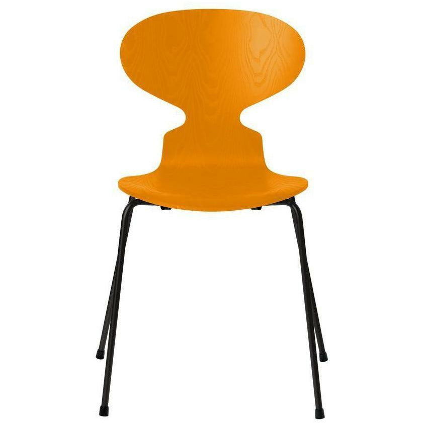 [product_category]-Fritz Hansen Ant Chair Dyed Ash Burnt Yellow Bowl, Black Base-Fritz Hansen-3101-FARVET-BURNT-SORT-FRI-1