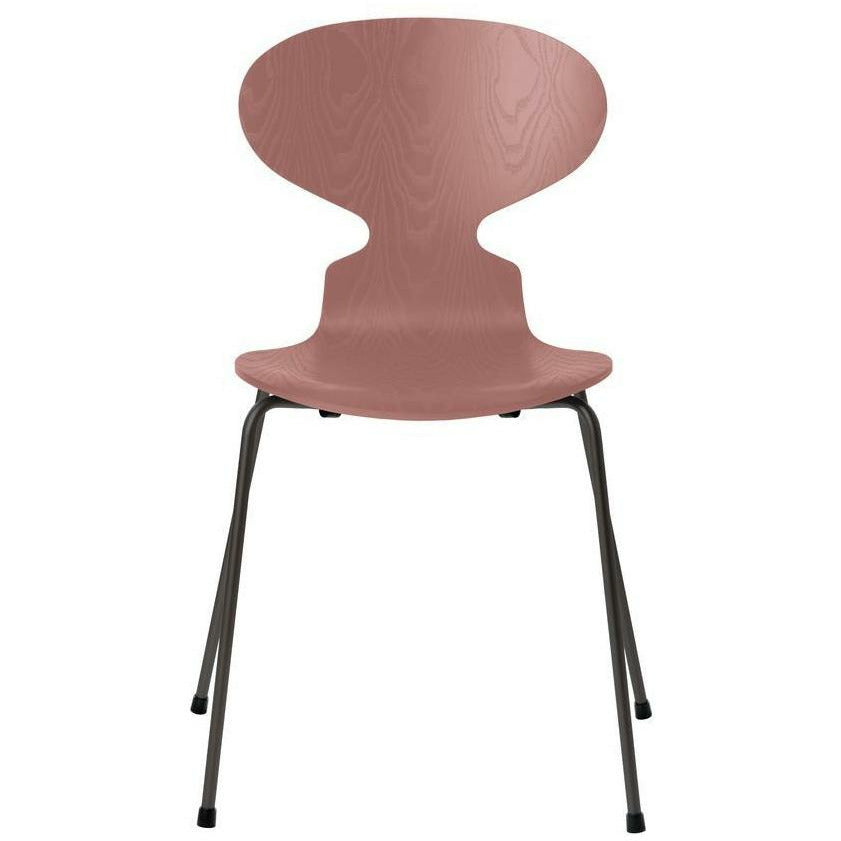 [product_category]-Fritz Hansen Ant Chair Dyed Ash Wild Rose Bowl, Warm Graphite Base-Fritz Hansen-3101-FARVET-WILD-WARM-FRI-1