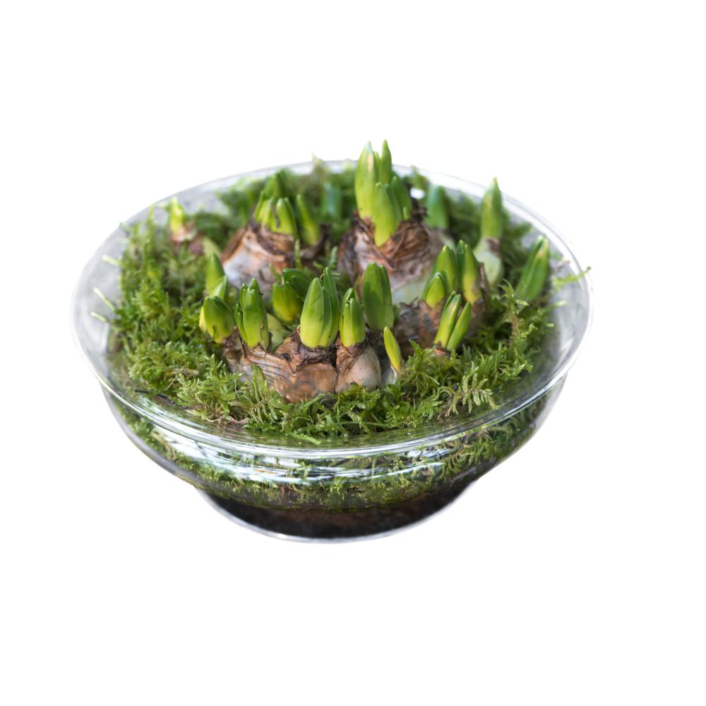 [product_category]-Holmegaard Old English, Flower Bowl, 25 Cm-Holmegaard-5706422999247-4343801-HOL-2