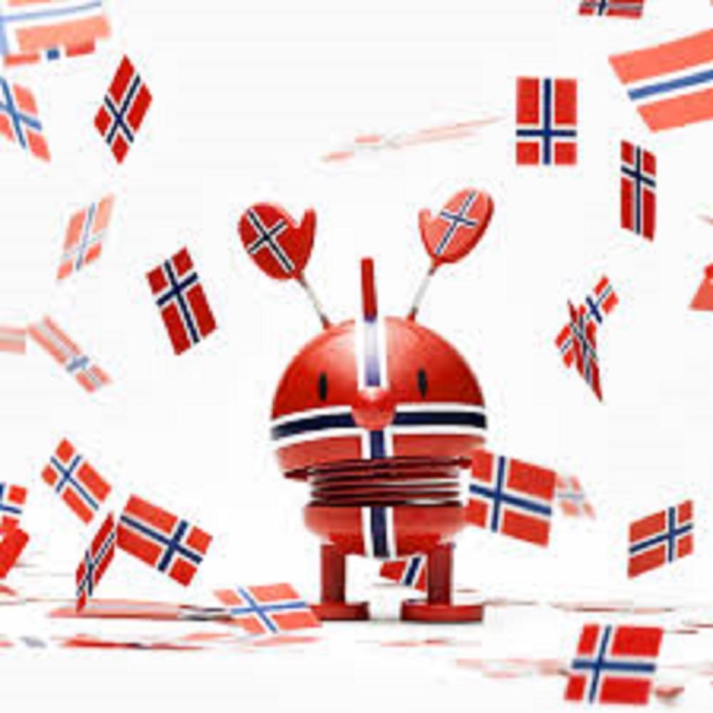[product_category]-Hoptimist Supporter Norway, Small-Hoptimist-5710350600212-26263-HOP-2