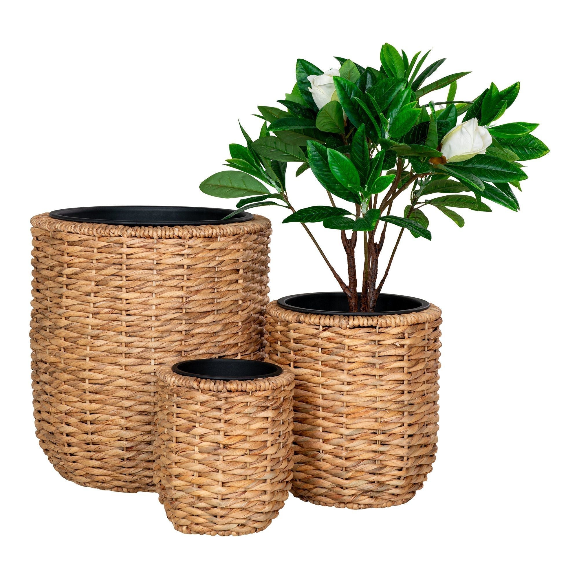 House Nordic Hanoi Planter, Water Hyacinth, Natural, Set Of 3