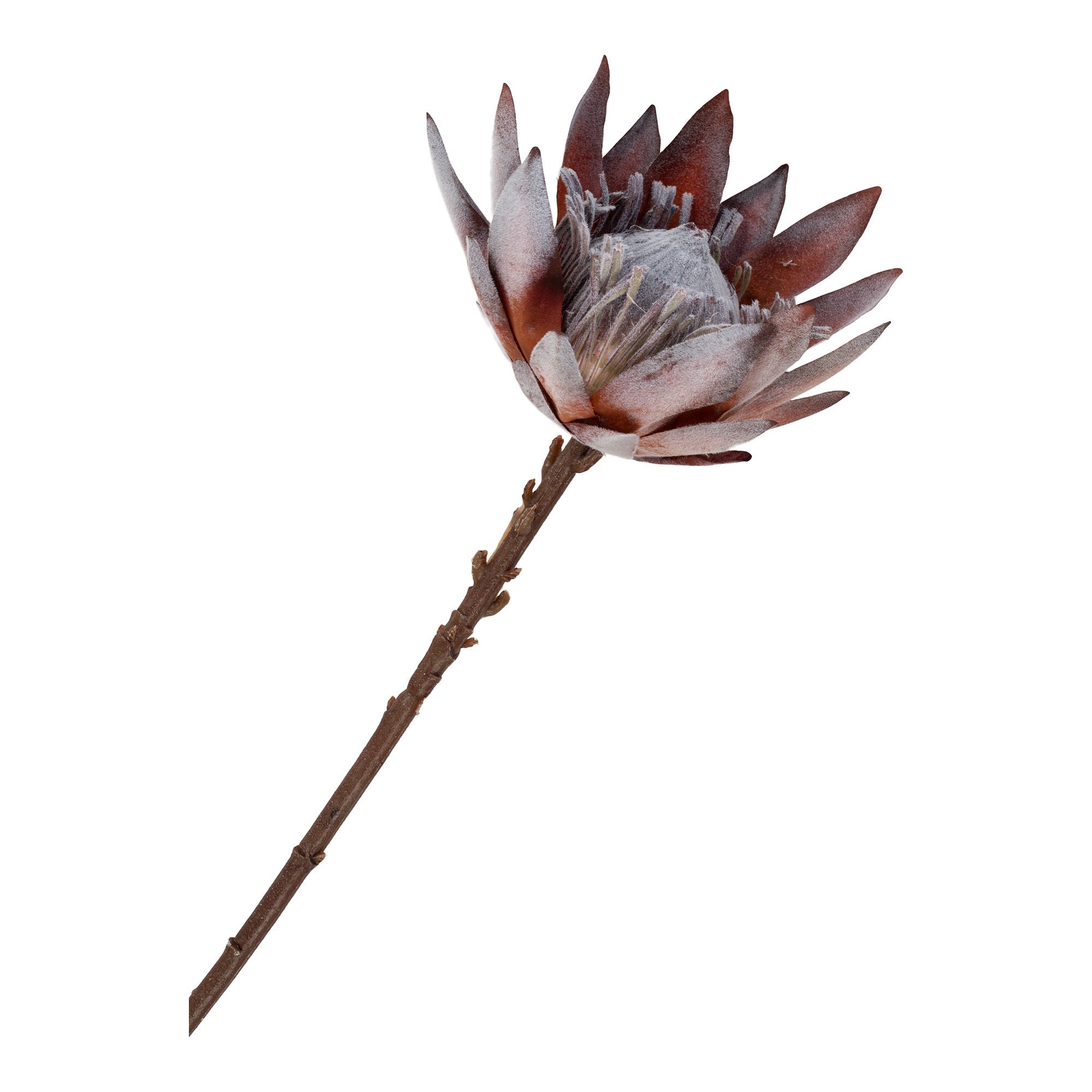 House Nordic King Protea Bouquet, Artificial Flowers, Rose Mix, H:74 Cm