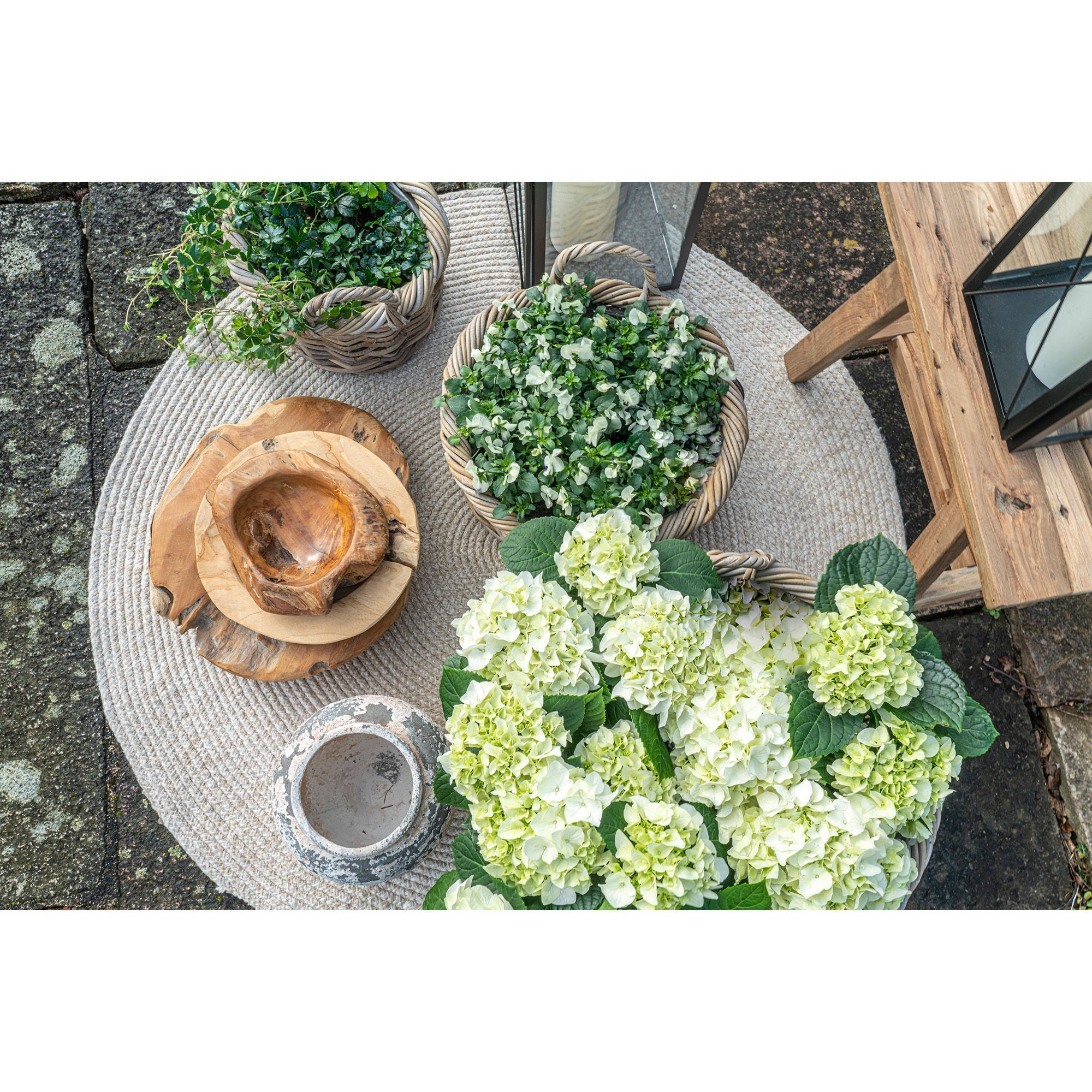 [product_category]-House Nordic Rio Teak Bowl-House Nordic-5713917006168-4501012-HOU-6