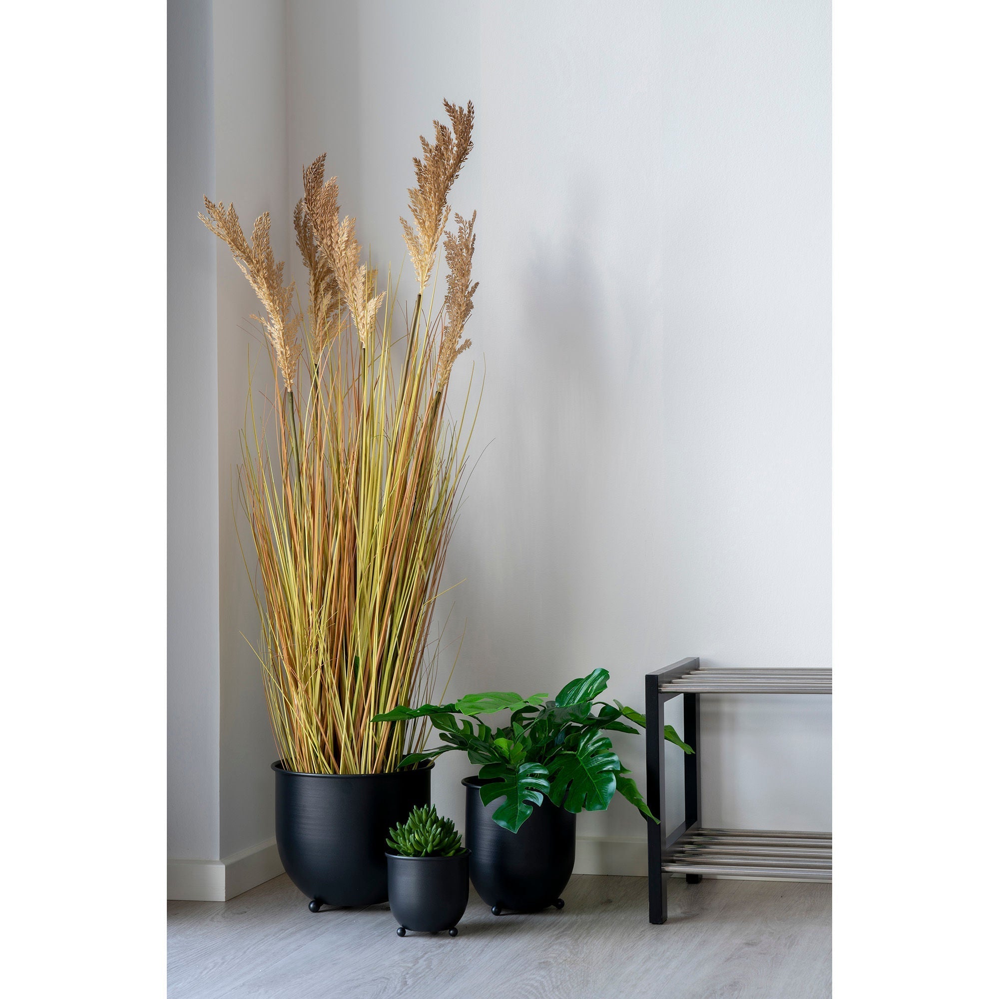[product_category]-House Nordic Sorghum Grass-House Nordic-5713917008766-9501070-HOU-6