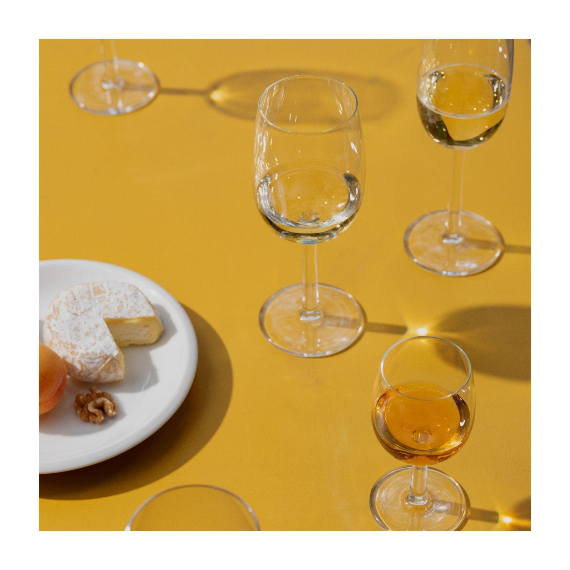 [product_category]-Iittala Raami Champagne Glass Clear 2pcs, 24cl-Iittala-6411923664301-1026947-IIT-4