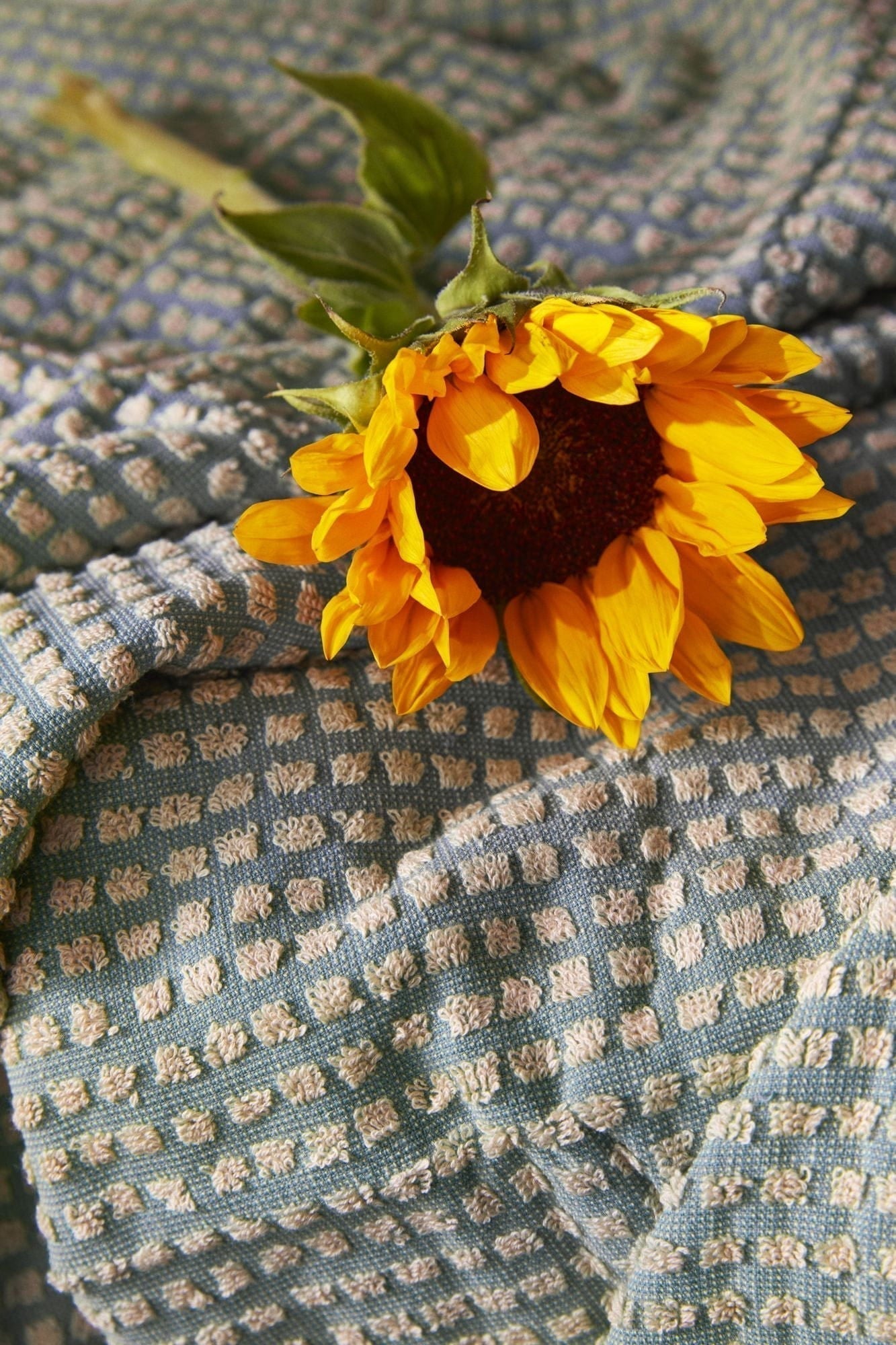 [product_category]-Juna Check Washcloth 30x30 Cm, Light Blue/Sand-Juna-5713397140741-614074-JUN-7