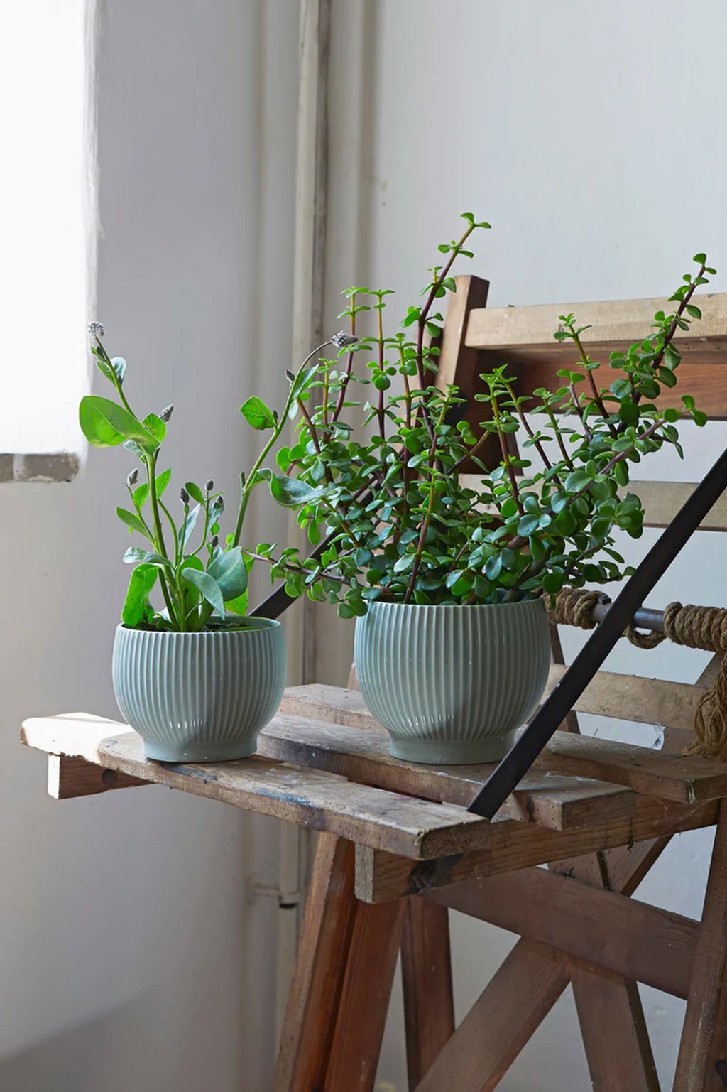 [product_category]-Knabstrup Keramik Flowerpot With Rolls ø 14.5 Cm, Mint Green-Knabstrup Keramik-5713959012578-1257-KNA-2