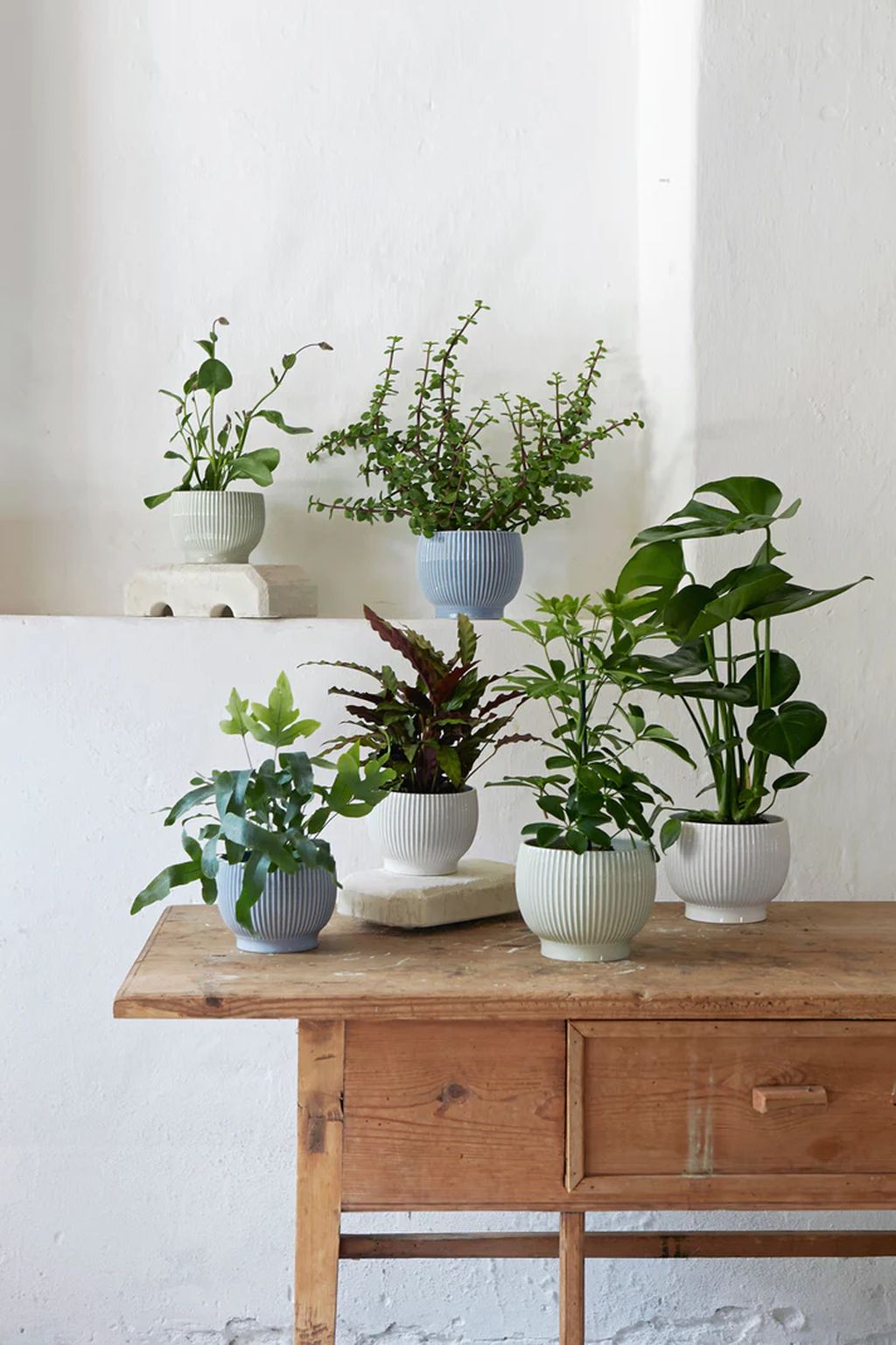 [product_category]-Knabstrup Keramik Flowerpot With Rolls ø 14.5 Cm, Mint Green-Knabstrup Keramik-5713959012578-1257-KNA-3