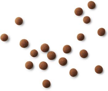 [product_category]-Lakrids By Bülow C Coffee Kieni, 125 Grams-Lakrids By Bülow-5710858000743-500074-LAK-4
