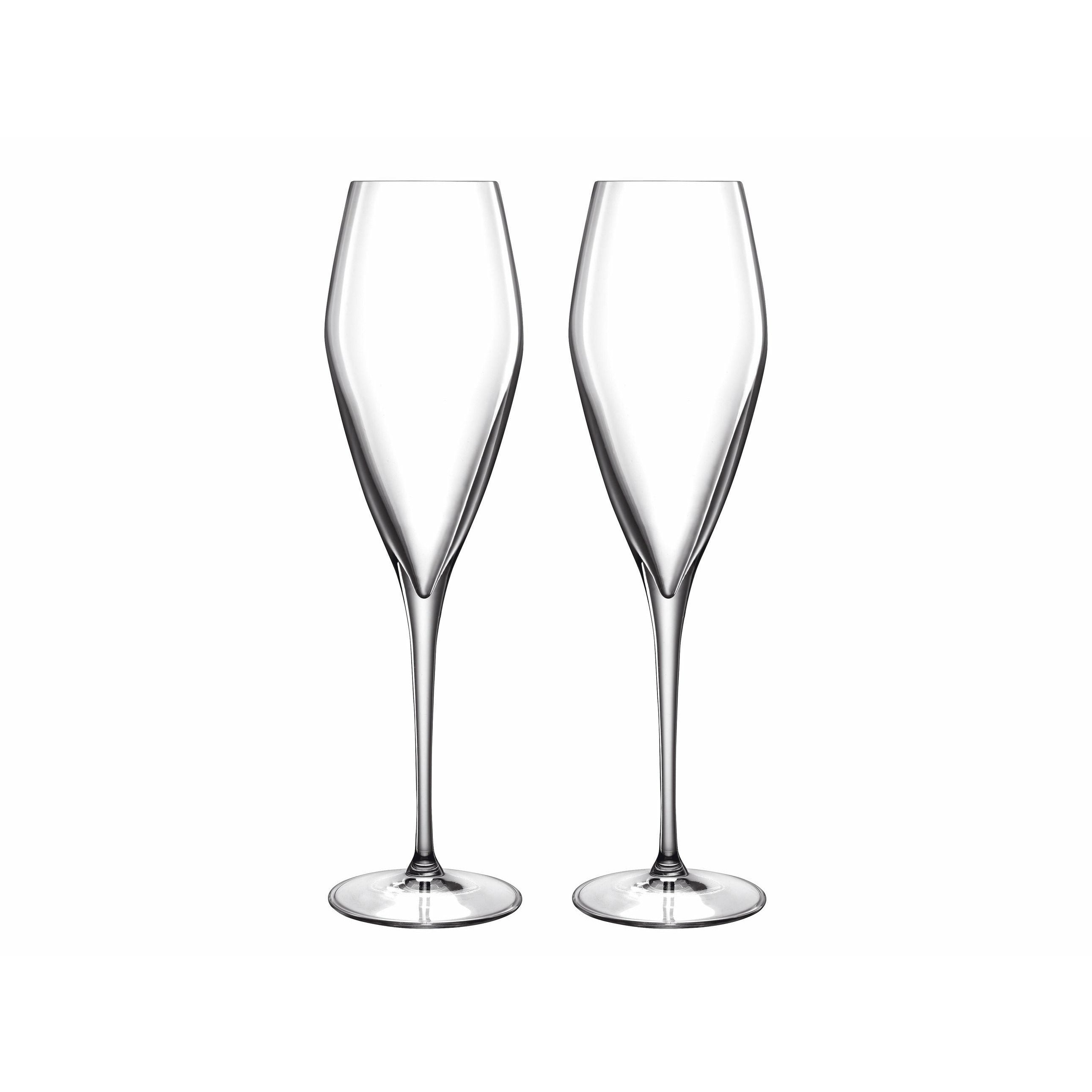 [product_category]-Luigi Bormioli Atelier Champagne Glass Prosecco, 2 Pieces-Luigi Bormioli-032622011942-21271-LUI-1