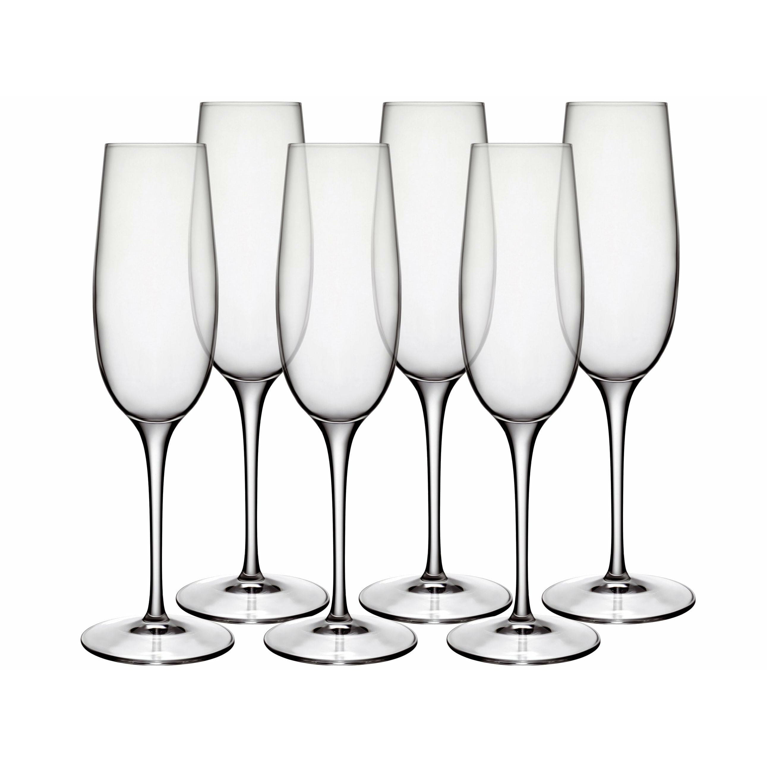 [product_category]-Luigi Bormioli Palace Champagne Glass, Set Of 6-Luigi Bormioli-032622013991-21296-LUI-1