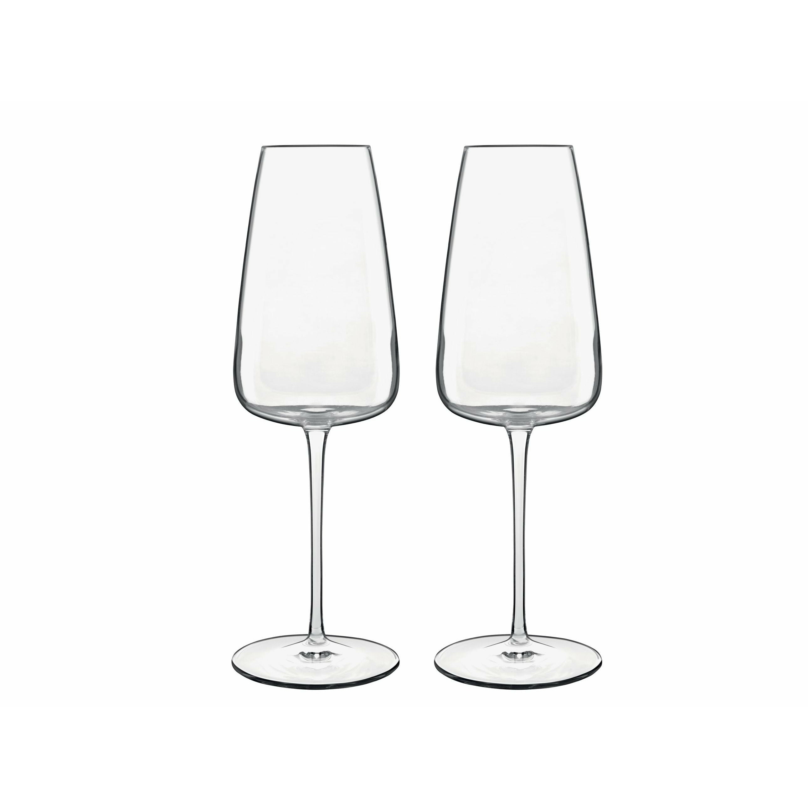 [product_category]-Luigi Bormioli Talismano Champagne Glass, 2 Pieces-Luigi Bormioli-032622027554-17433-LUI-1