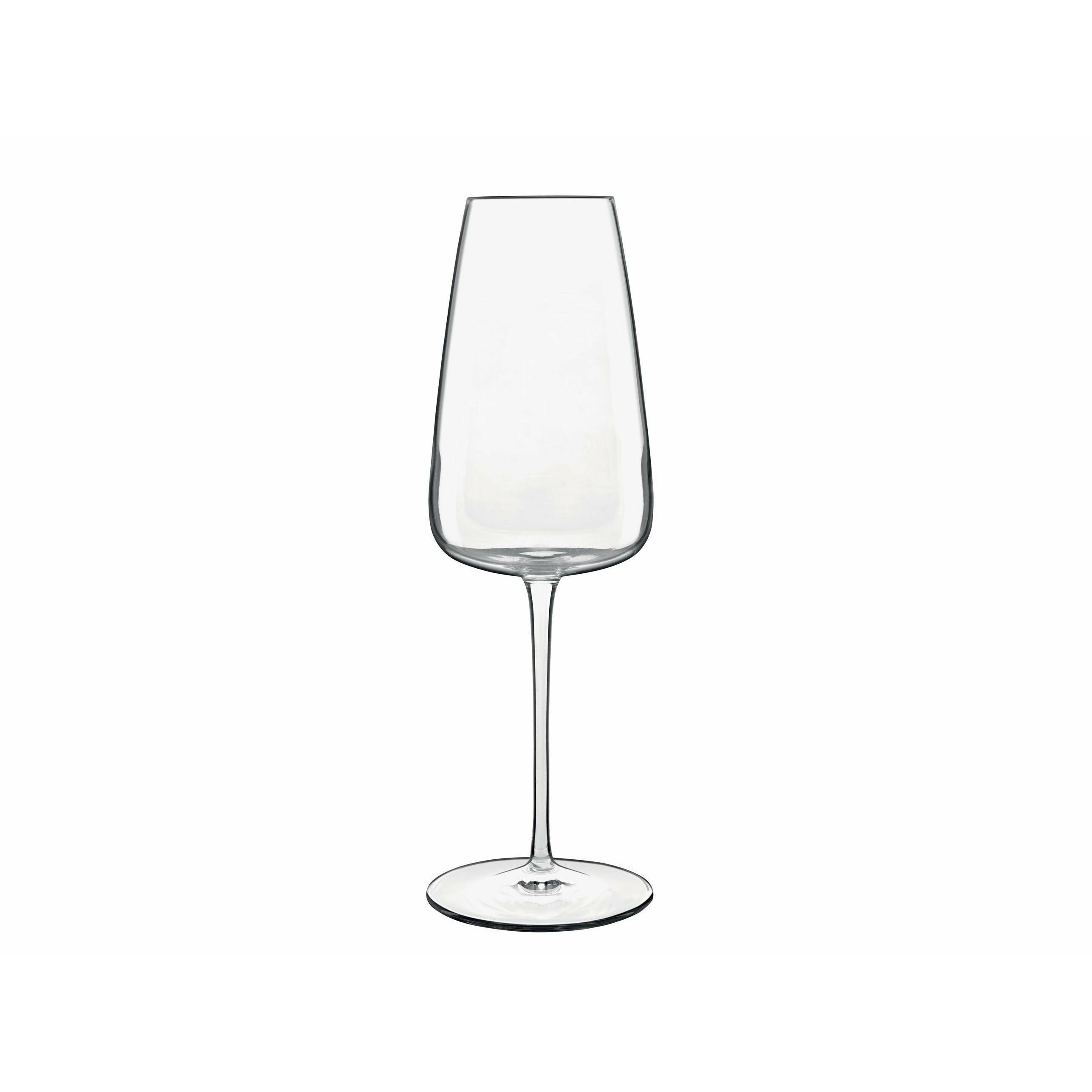 [product_category]-Luigi Bormioli Talismano Champagne Glass, 2 Pieces-Luigi Bormioli-032622027554-17433-LUI-2