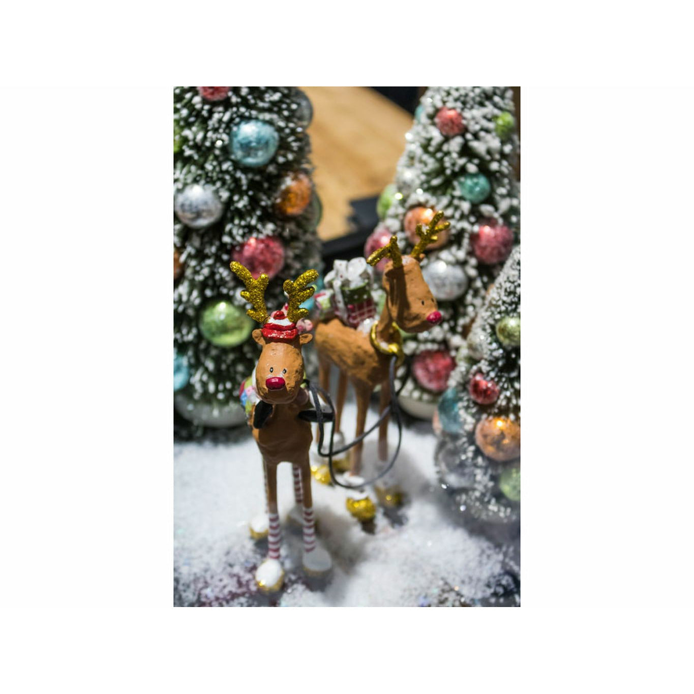 [product_category]-Medusa Copenhagen 2018 Mr. & Mrs. Rudolf-Medusa Copenhagen-5722008310701-831070-MED-2