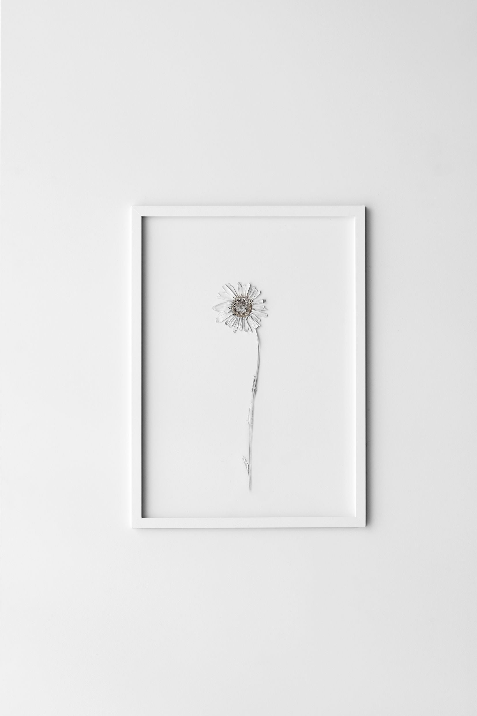 [product_category]-Moebe Frame A3, White-Moebe-5713520000140-FAWA3-MOE-5