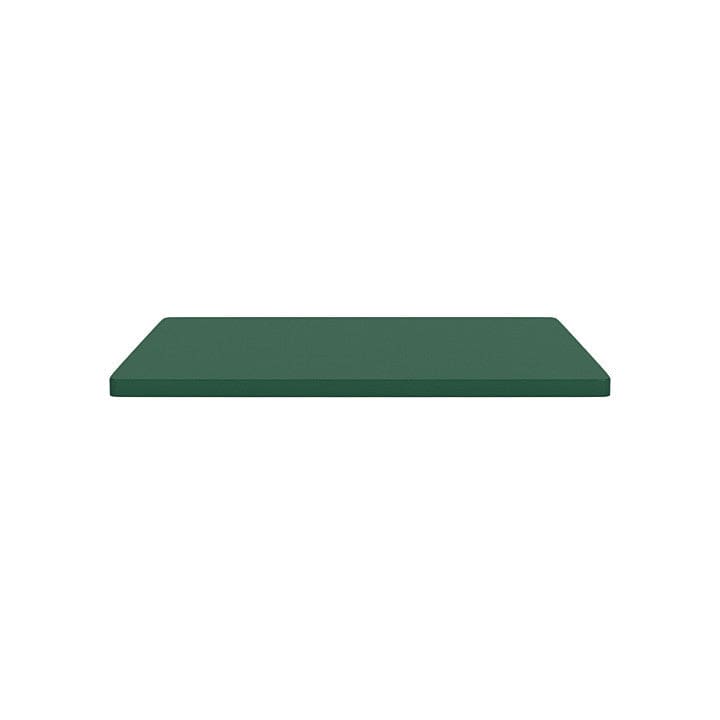 [product_category]-Montana Panton Wire Inlay Shelf 34,8x33 Cm, Pine Green-Montana Furniture-5714322957328-0VPW6X-136-L-MON-4