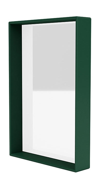 [product_category]-Montana Shelfie Mirror With Shelf Frame, Pine Green-Montana Furniture-5715288153526-0SHELFIE-136-04-MON-1
