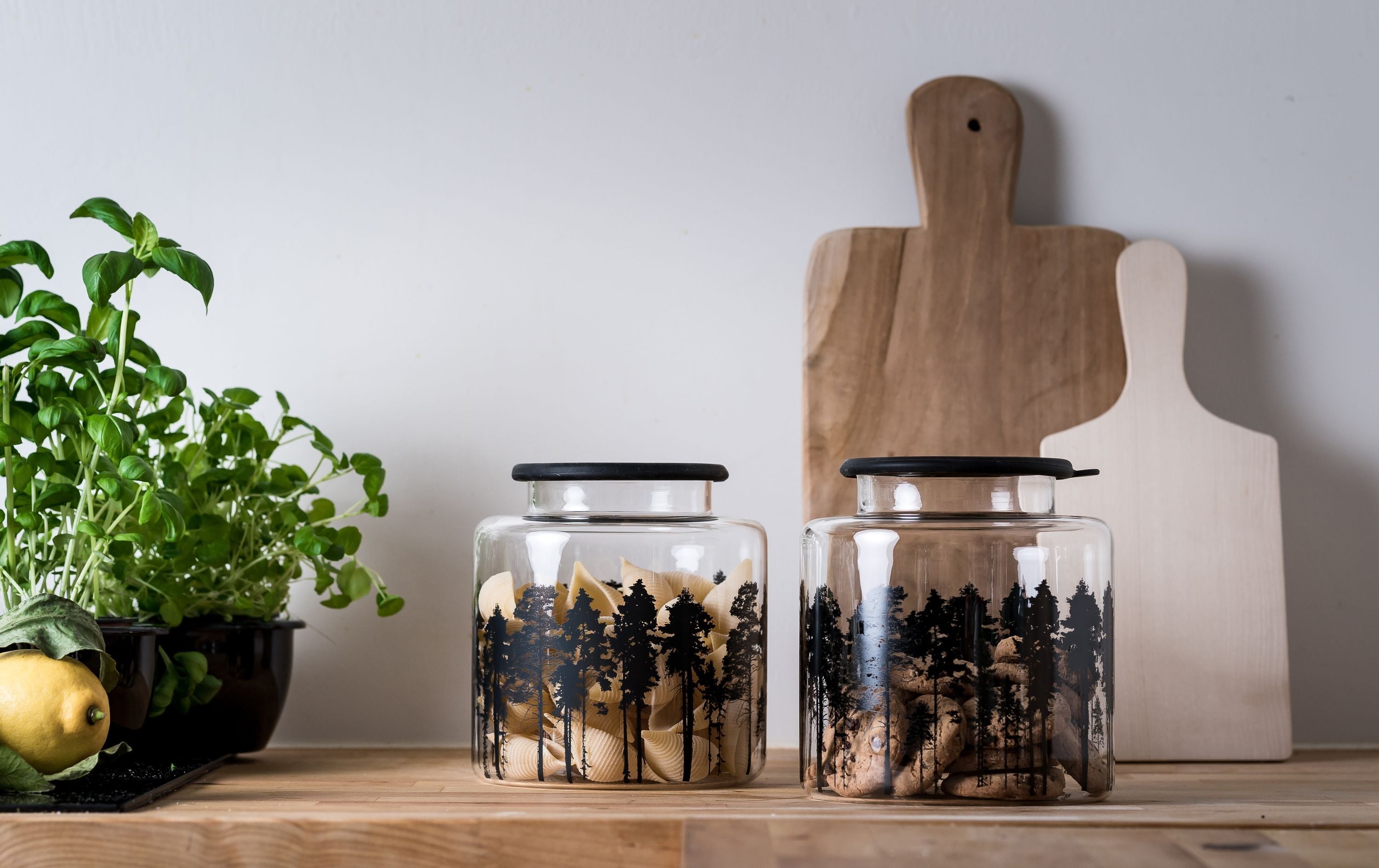[product_category]-Muurla Glass Jar With Silicone Lid The Forest-Muurla-6416114963188-330-300-00-MUU-2