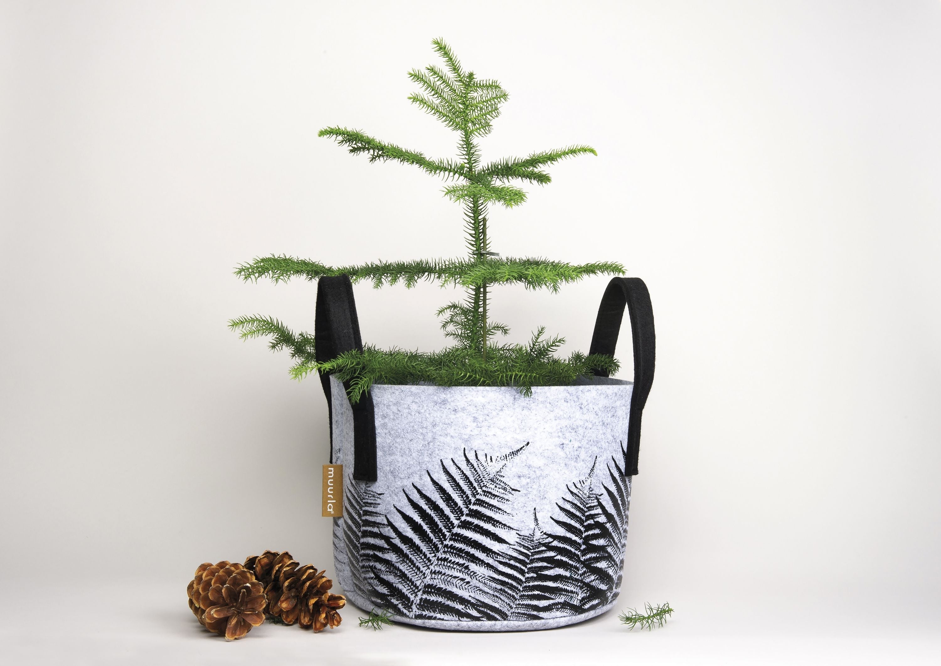 [product_category]-Muurla Storage Basket, The Fern-Muurla-6416114964161-33-170-03-MUU-2
