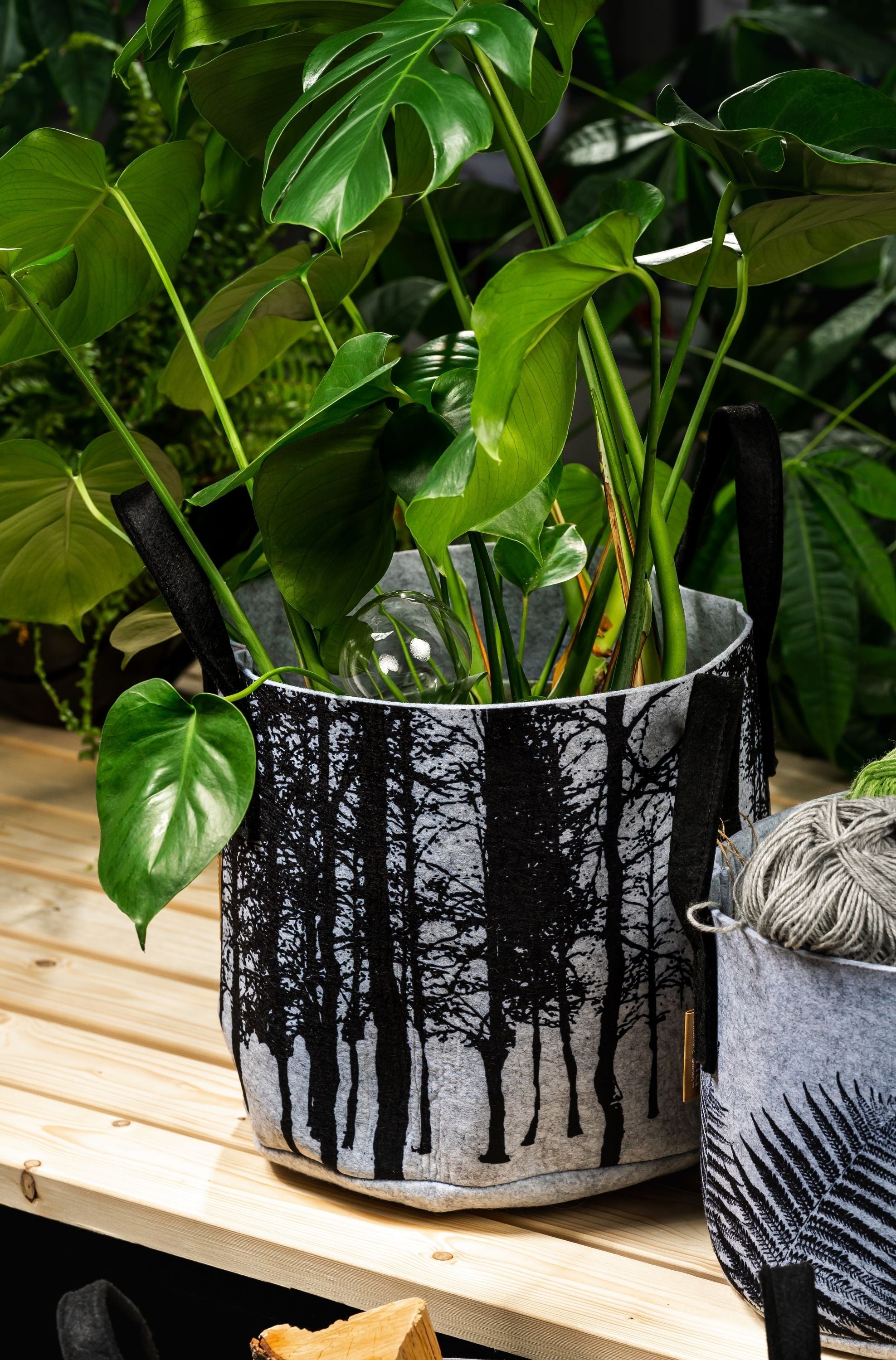 [product_category]-Muurla Storage Basket, The Fern-Muurla-6416114964161-33-170-03-MUU-4