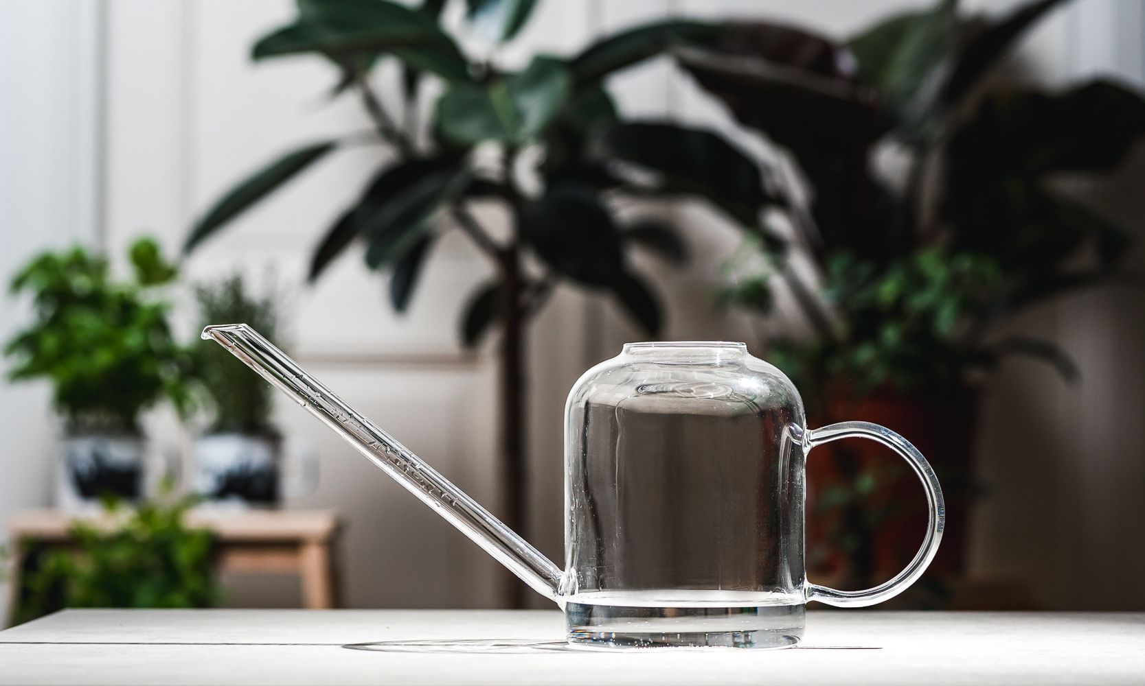 [product_category]-Muurla Watering Can, Clear-Muurla-6416114962969-990-130-00-MUU-7